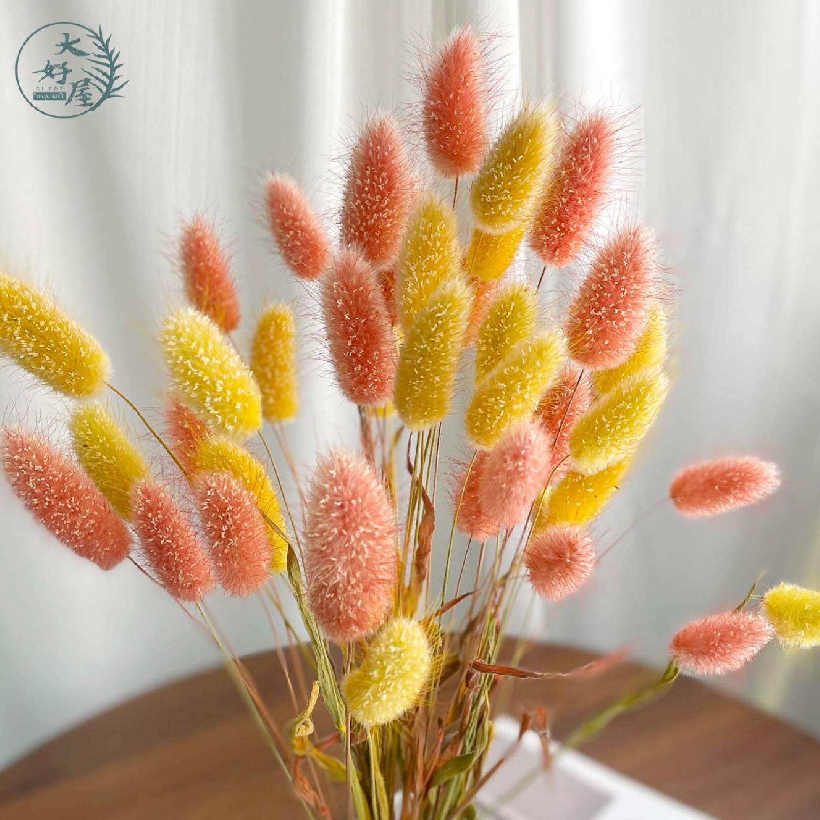 永生雪兔 (30支裝 / 兔尾草)