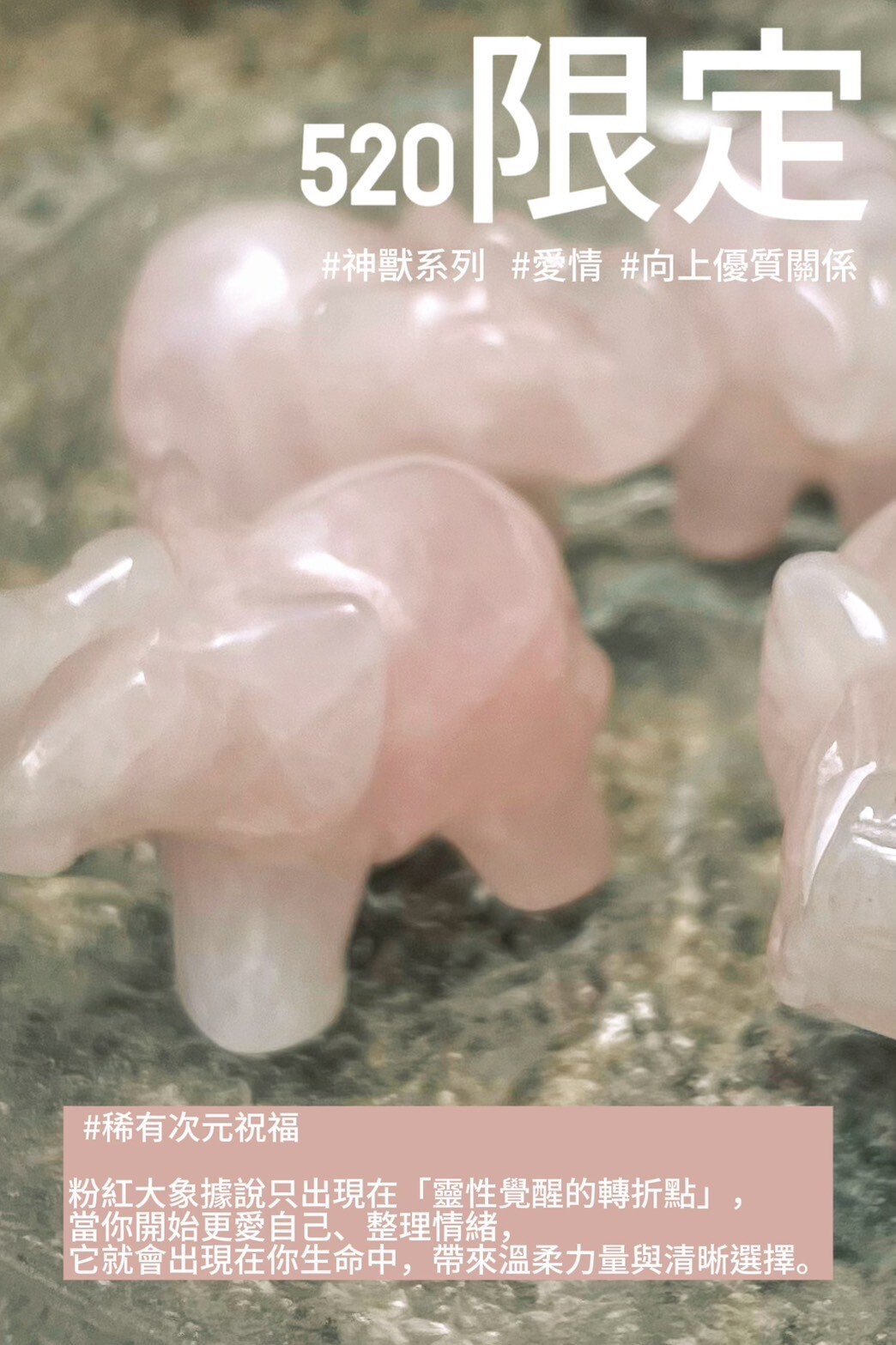 勇敢愛，安心被愛🌸粉水晶大象快閃🐘