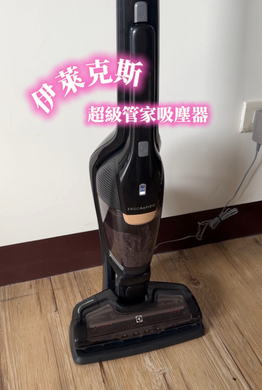 < 現貨免運 >  限時開團 Electrolux 伊萊克斯 超級完美管家HEPA進化版 吸塵器