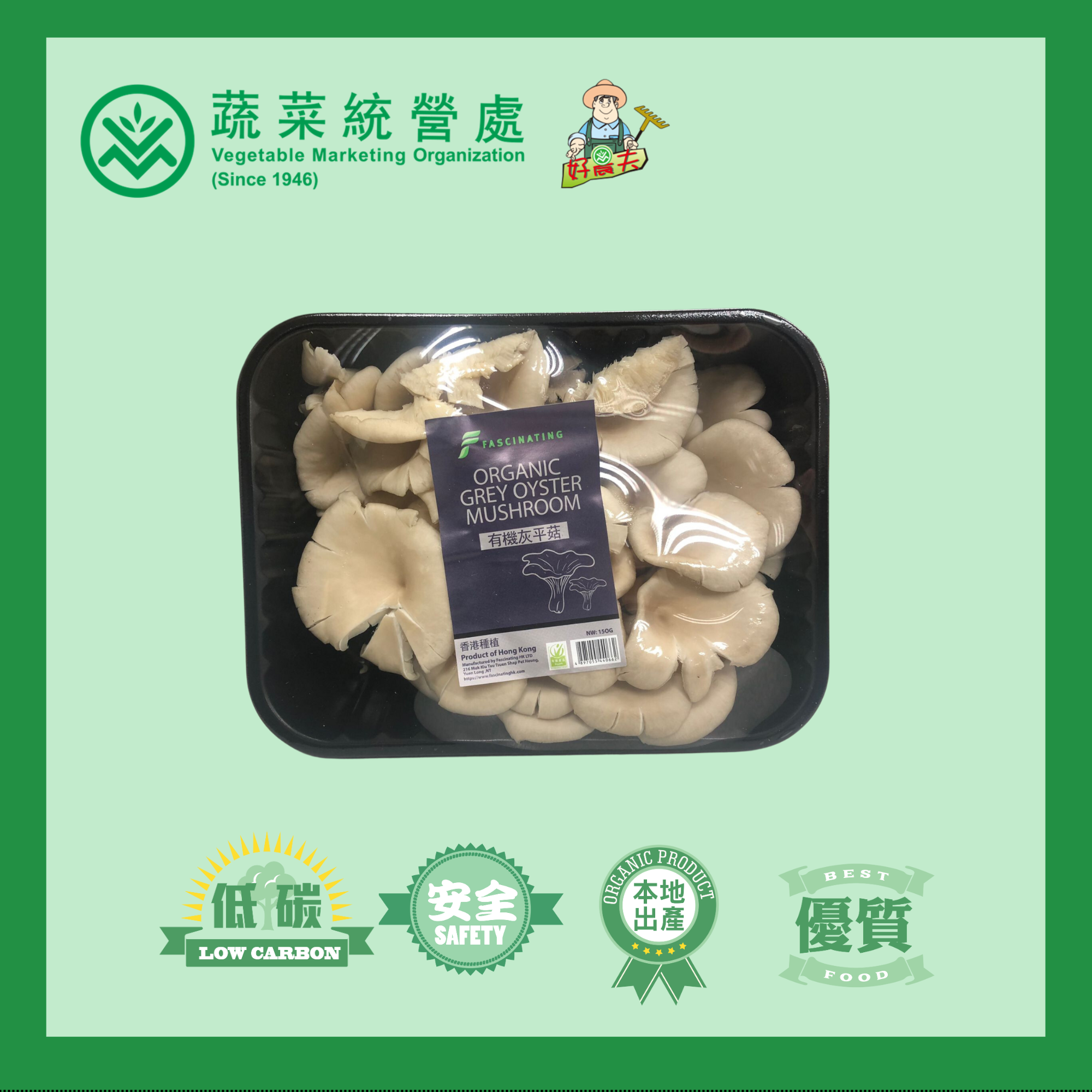 Local Organic Grey Oyster Mushroom