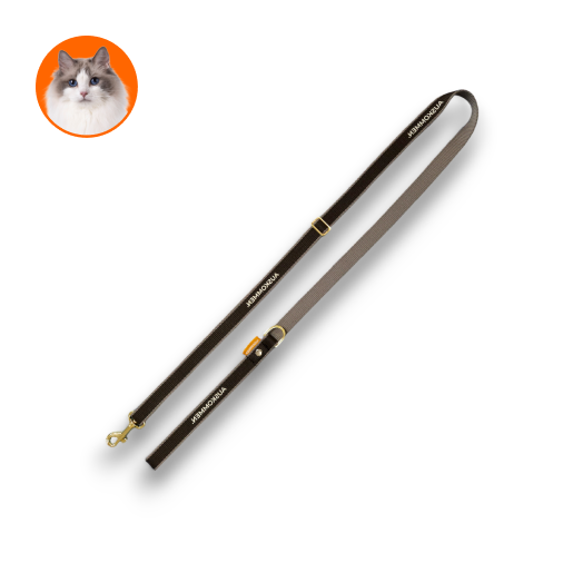 Auskommen牽繩 鉑金黑