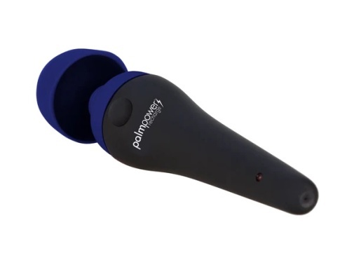 Palm Power Recharge Wand Massager Blue