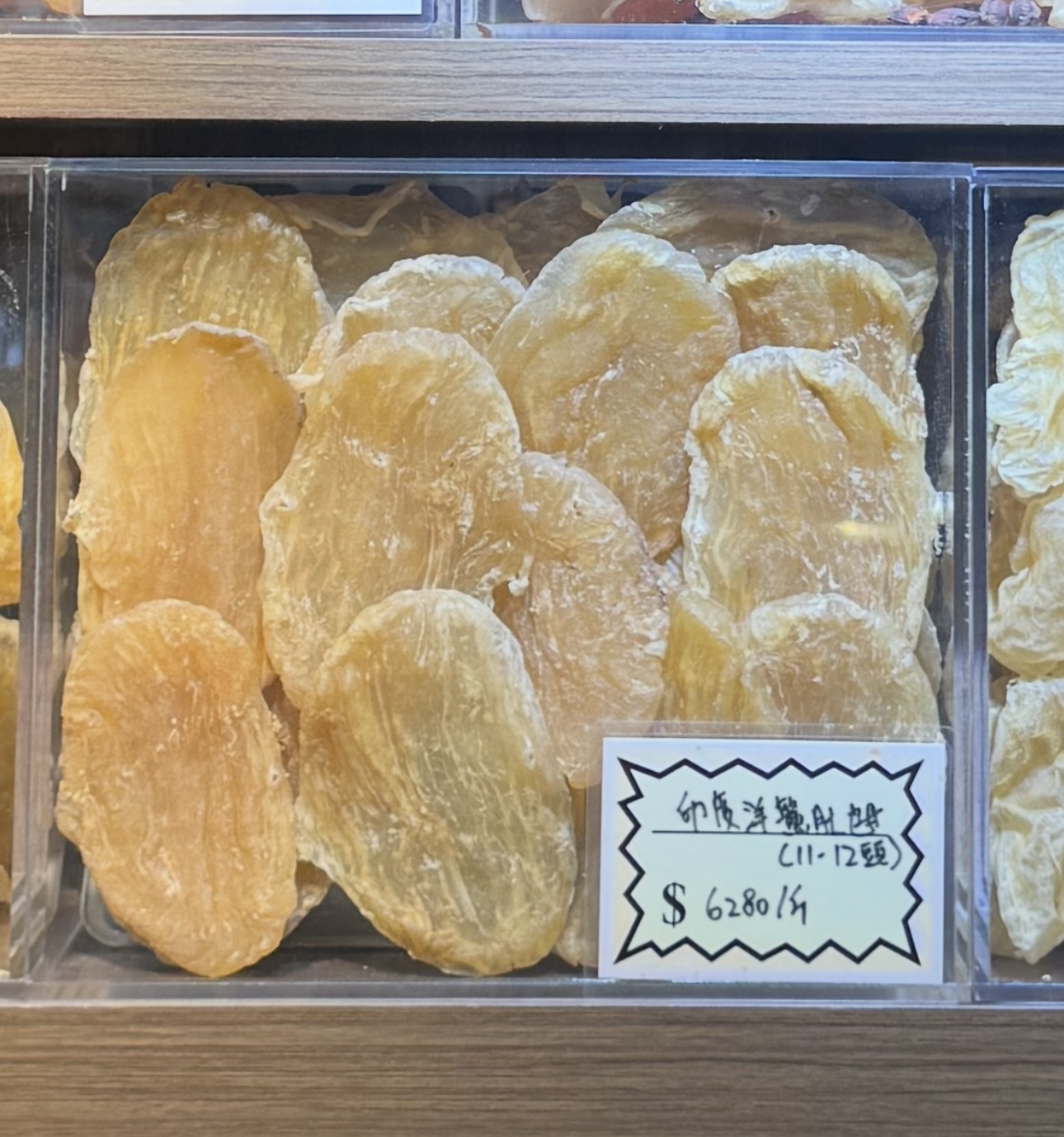 印度洋生開鰵肚乸（11-12頭）