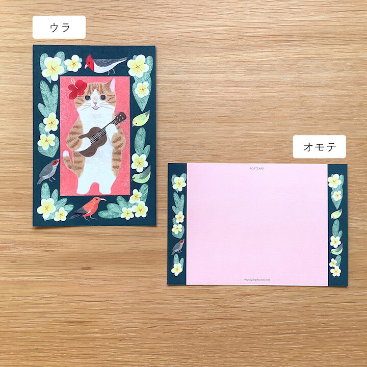 吉他貓 貓咪繪本明信片｜日本 4legs