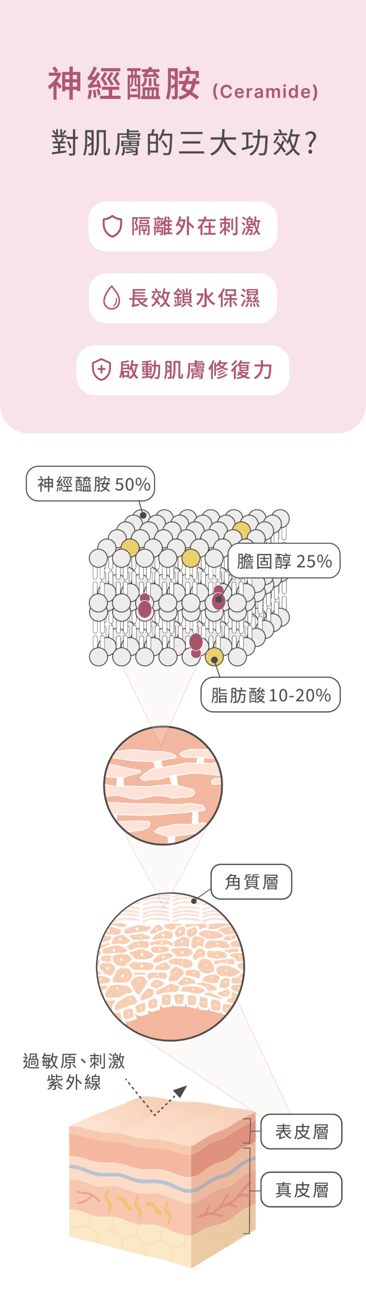 神經醯胺