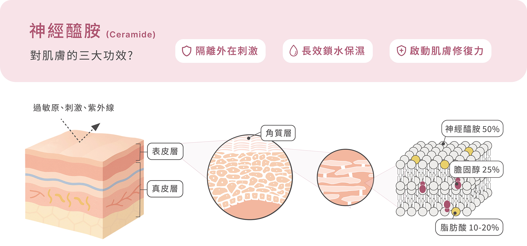 神經醯胺