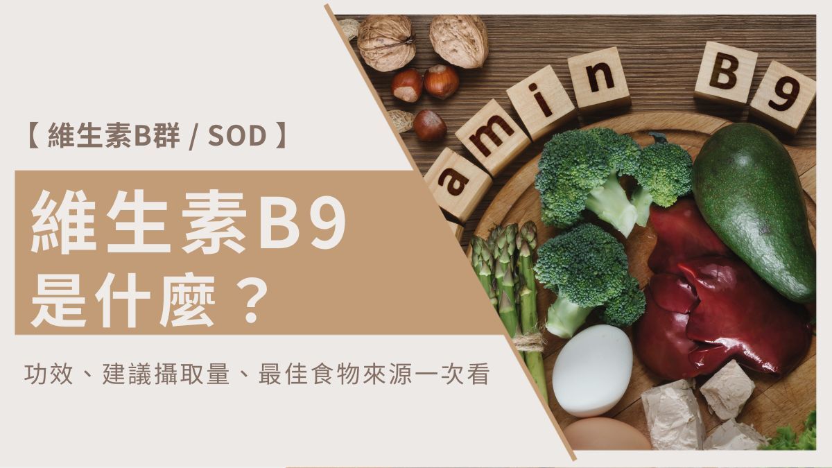 維生素 B9 是什麼？功效、建議攝取量、最佳食物來源一次看