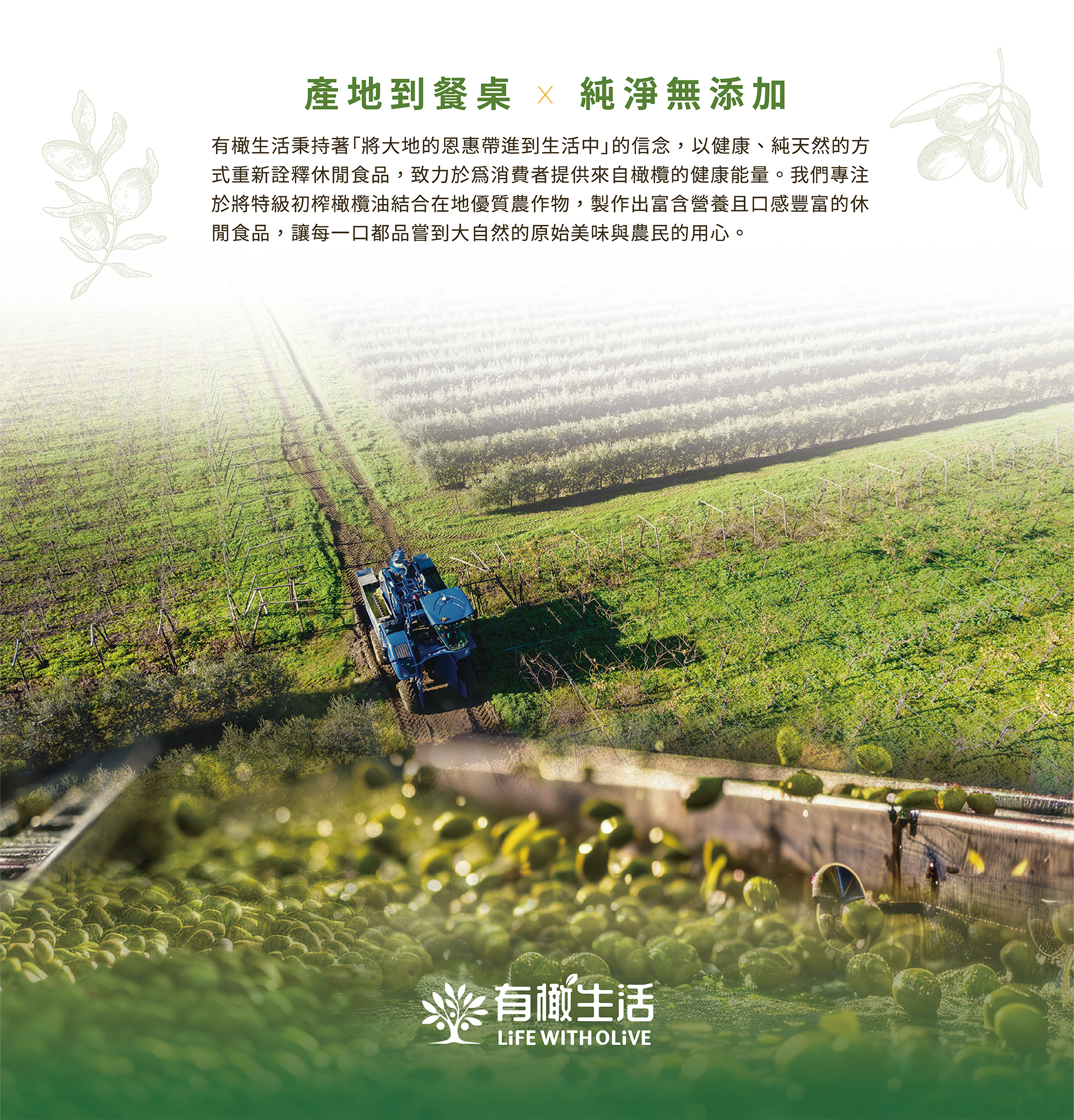 有橄生活 從產地到餐桌