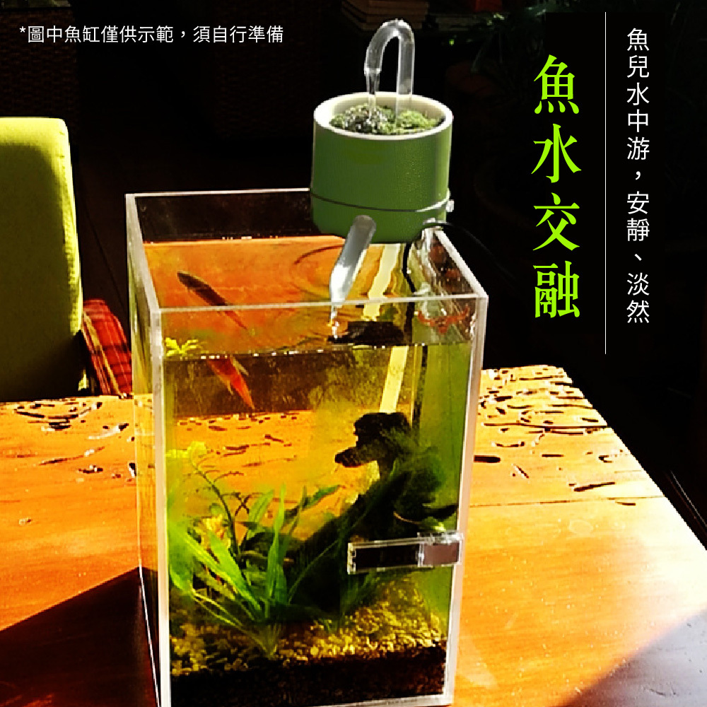美觀的外型同時提升魚缸氧氣含量，讓魚兒自在游動，水族生態更健康