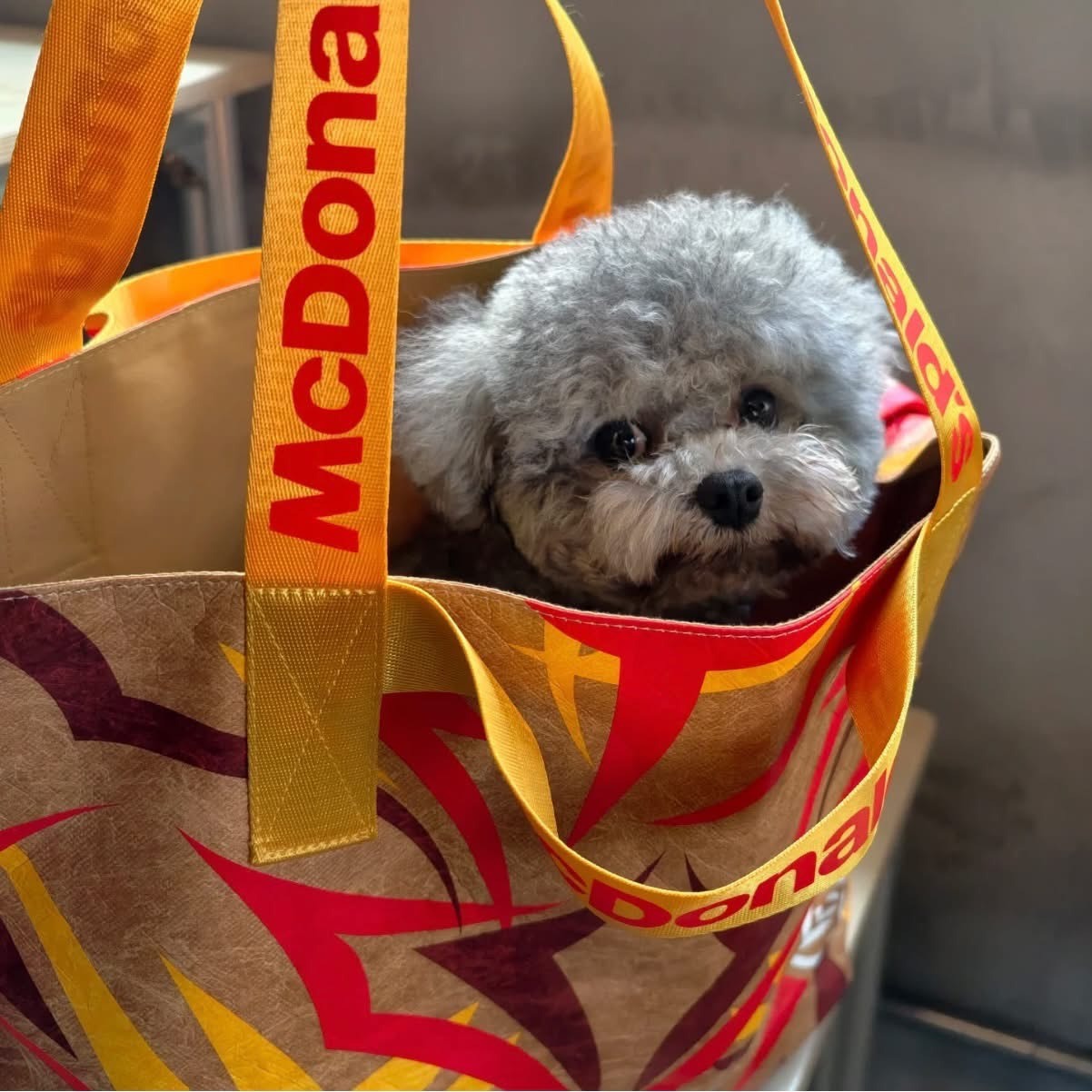 預購 Clot x McDonalds 聯名 荊棘托特包