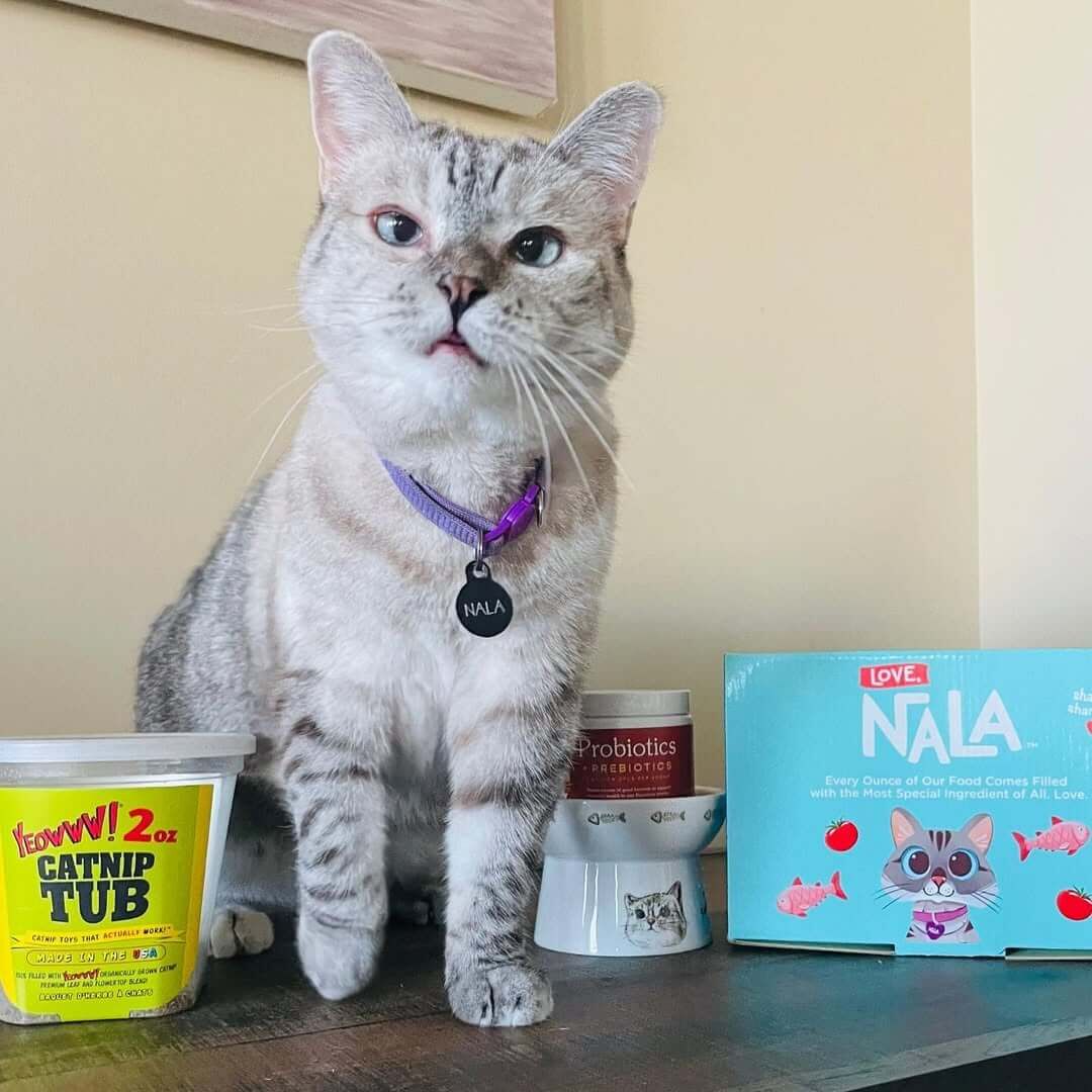 有機天然貓草 | Yeowww 美國瘋狂貓