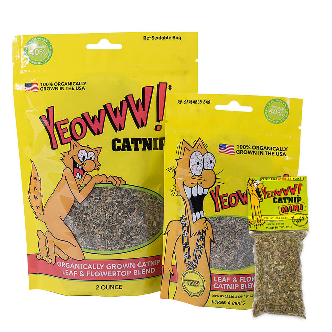 有機天然貓草 | Yeowww 美國瘋狂貓