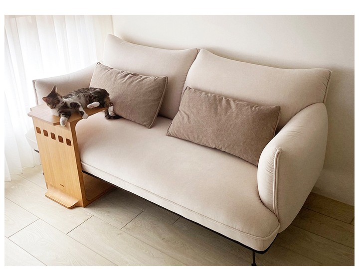 貓與沙發都兼得，鏟屎官必看!