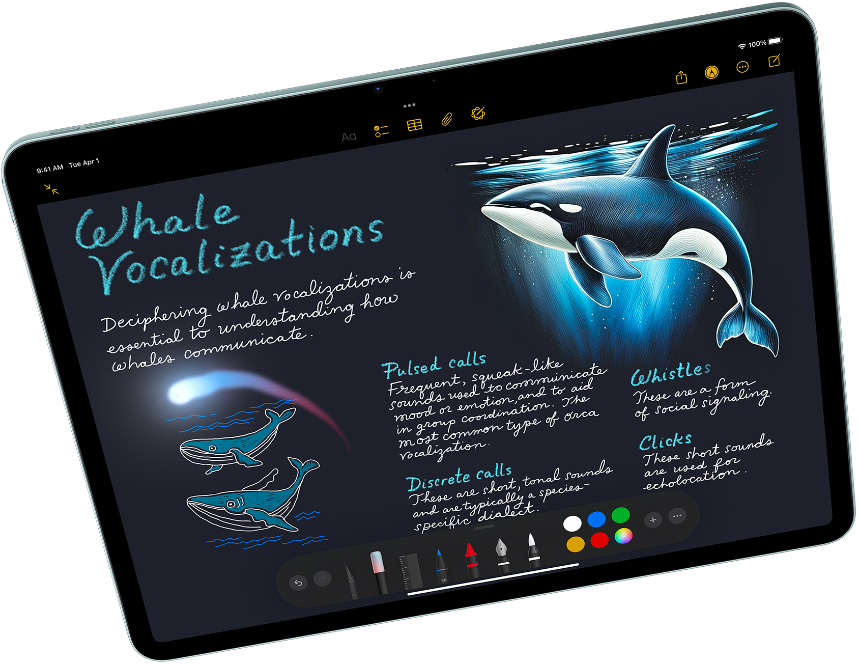 iPadOS 19