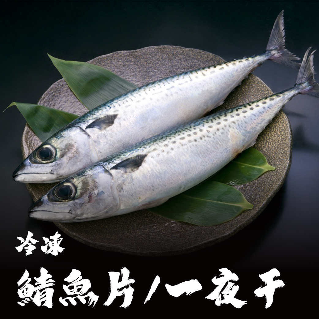 挪威鯖魚片 / 鯖魚一夜干