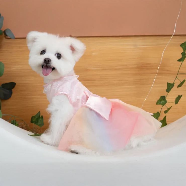 【XS~4XL】Pink Floral Rainbow Dress