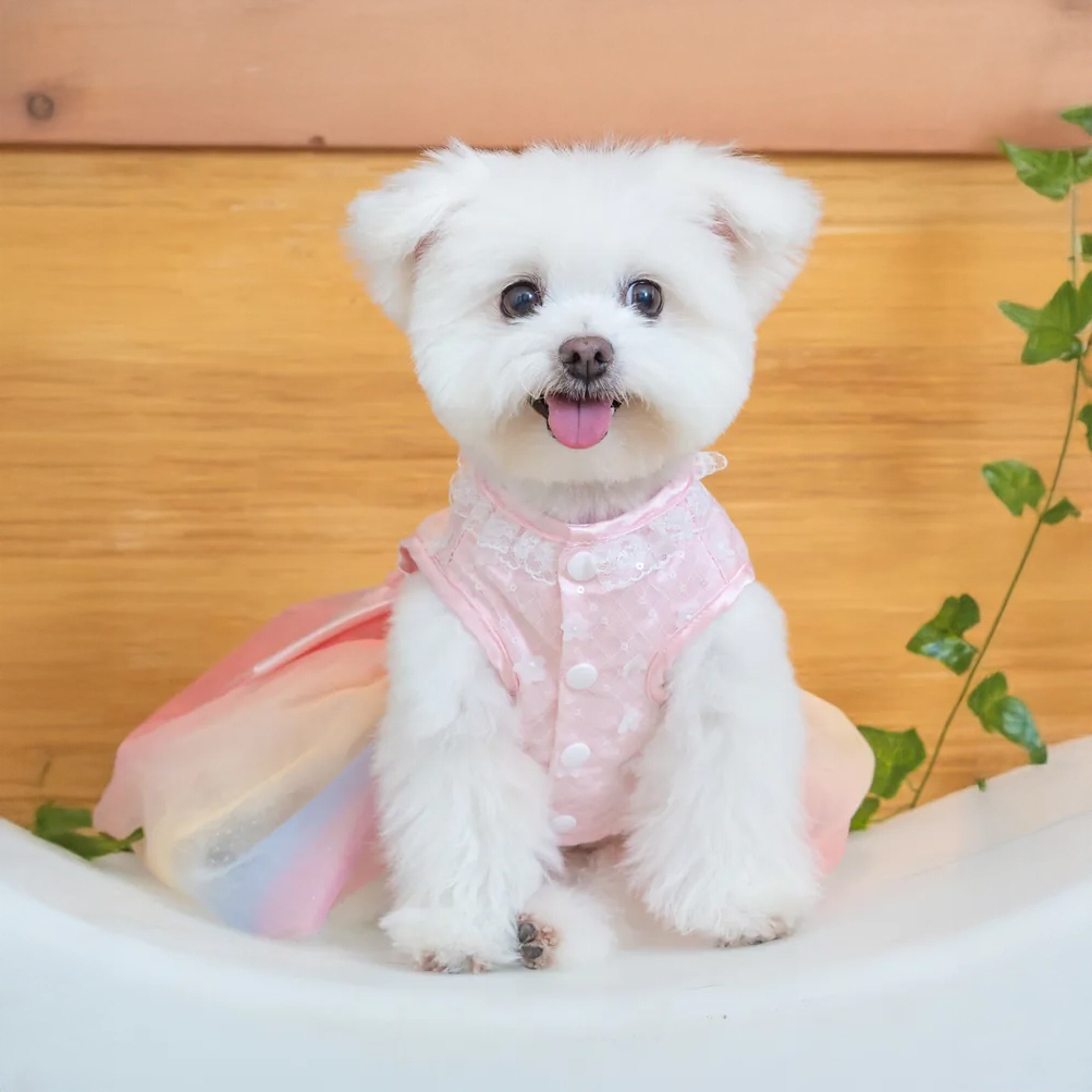 【XS~4XL】Pink Floral Rainbow Dress