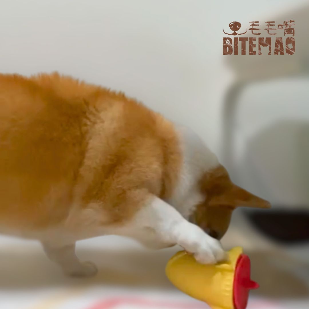 柯基犬玩火箭漏食玩具 毛毛嘴 寵物玩具