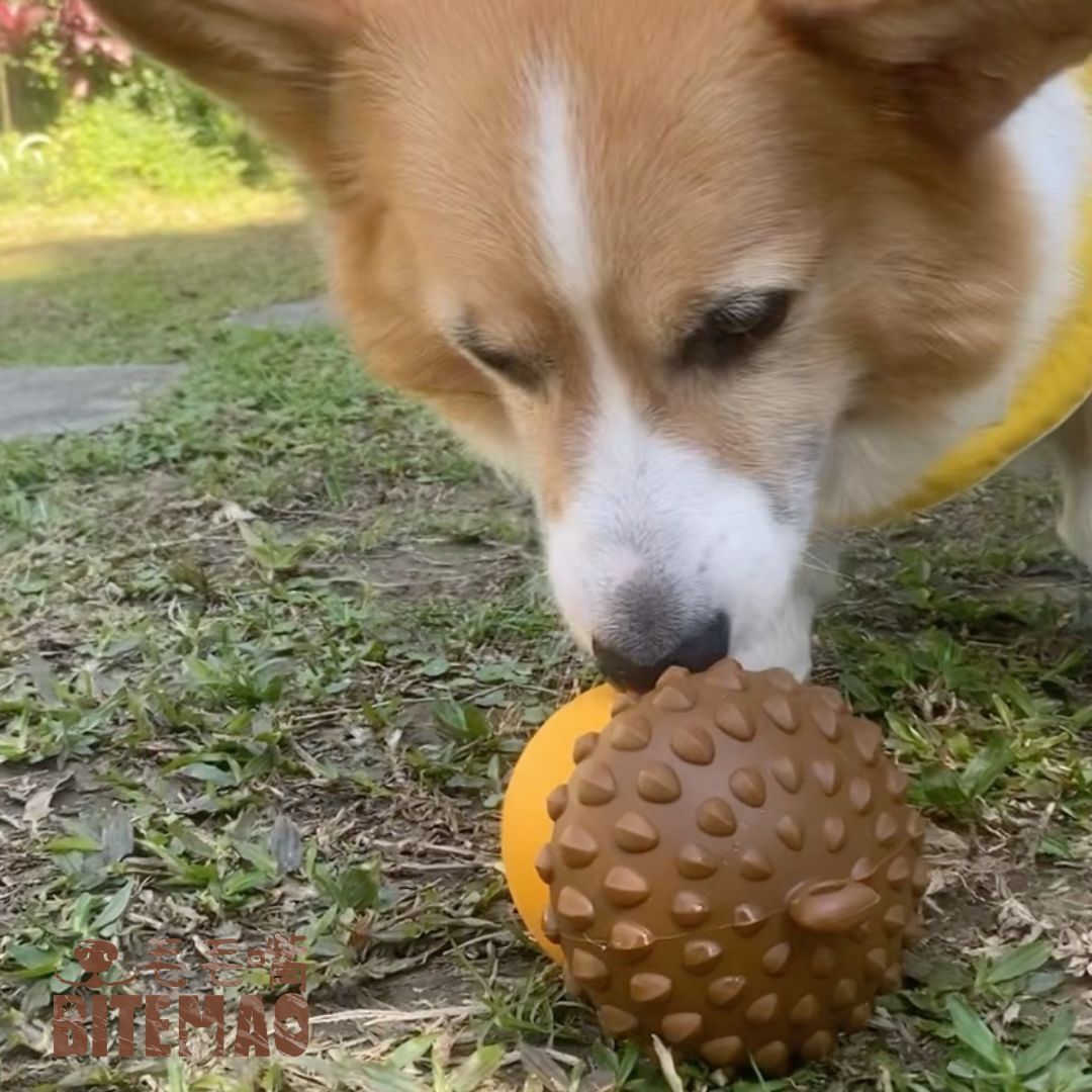 柯基犬玩初階漏食玩具 毛毛嘴寵物玩具