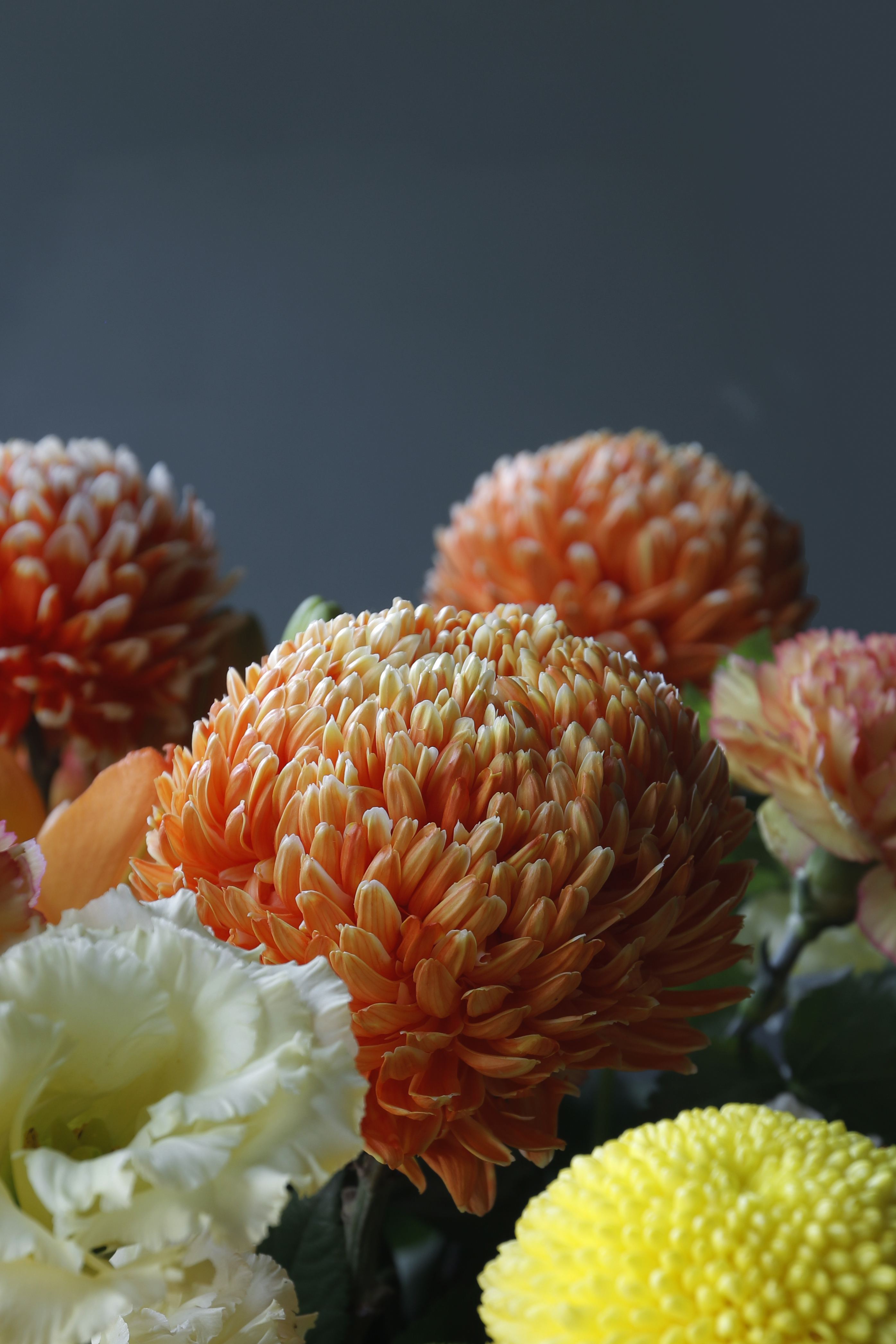 夏未央．橘光漫漫｜藝術花柱 送禮