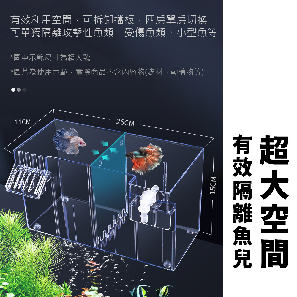 可拆卸隔板設計，方便調整隔離空間，適合分隔攻擊性魚類或孵化魚苗，提升使用靈活性與實用性