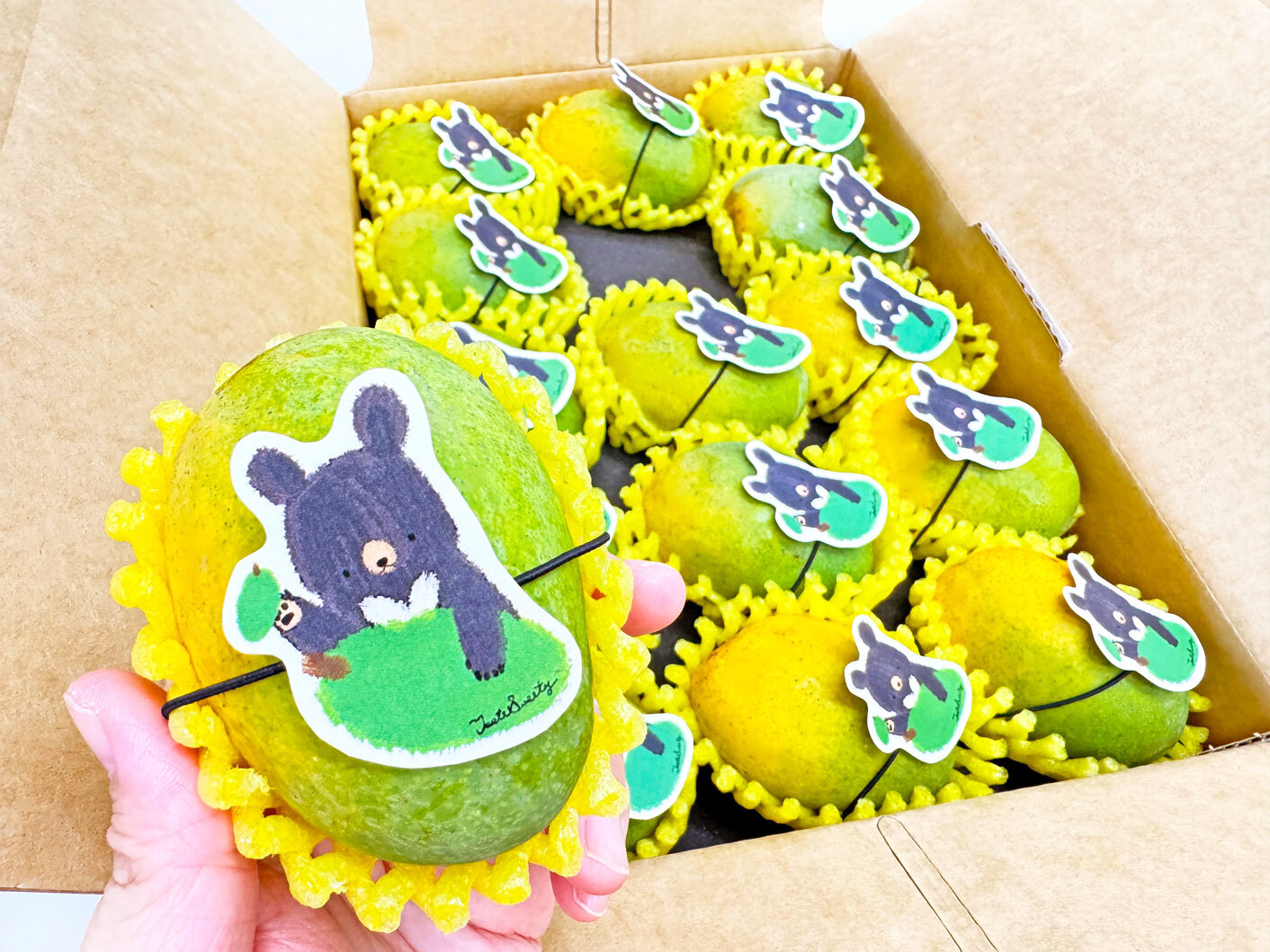 格紋芒果熊土芒果禮盒特級9台斤裝(3-4台兩/粒)