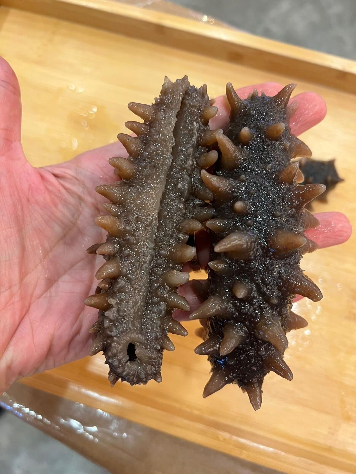 日本北海道遼參（自家浸發）（454 克，7-9 條）