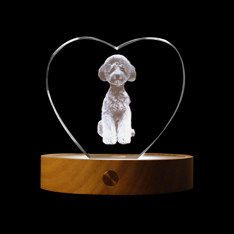 Heart-Shaped 3D Crystal Photo