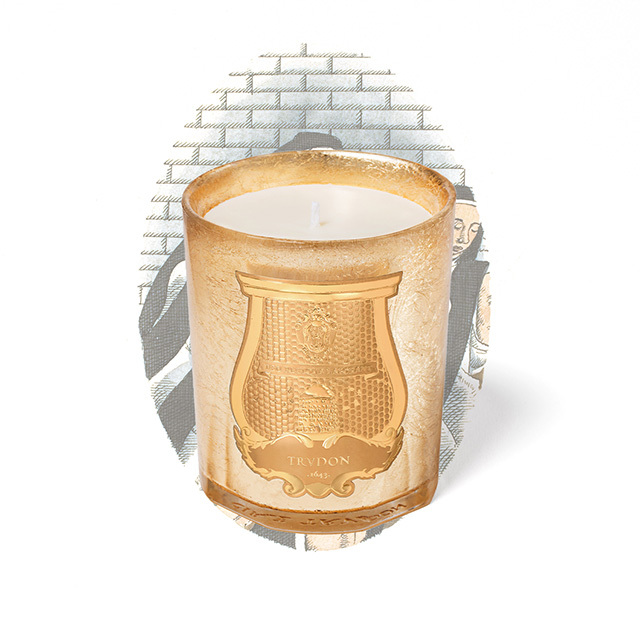 Trudon 限量金典系列 古牆青苔 香氛蠟燭