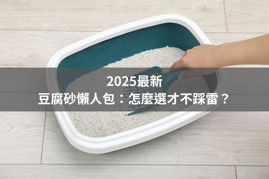 2025最新｜豆腐砂懶人包：怎麼選才不踩雷？