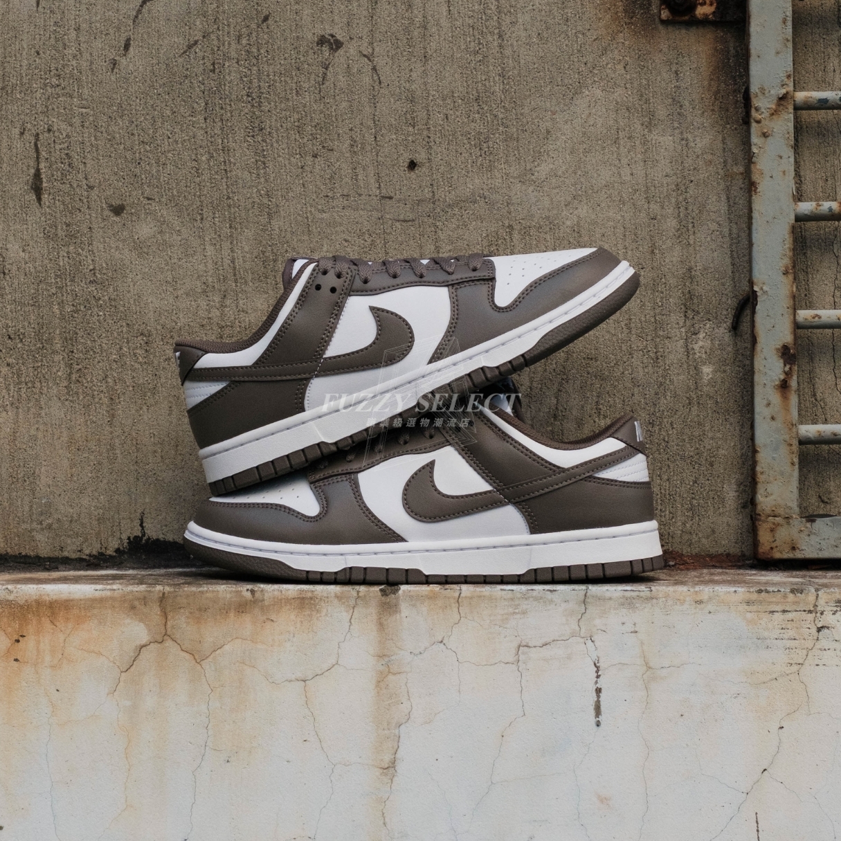【逢甲 FUZZY】Nike Dunk Low "Cave Stone" 咖啡灰 HF5441-111