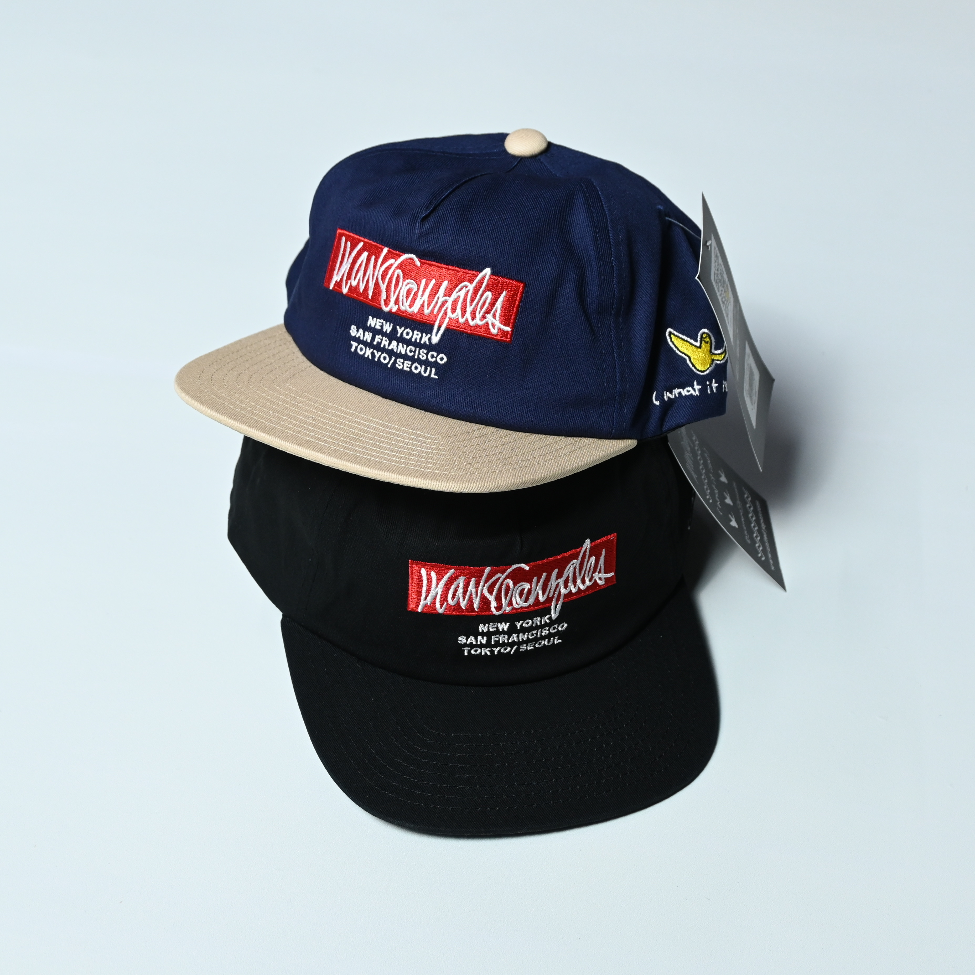 (What it isNt) ART BY MARK GONZALES Box Logo Cap