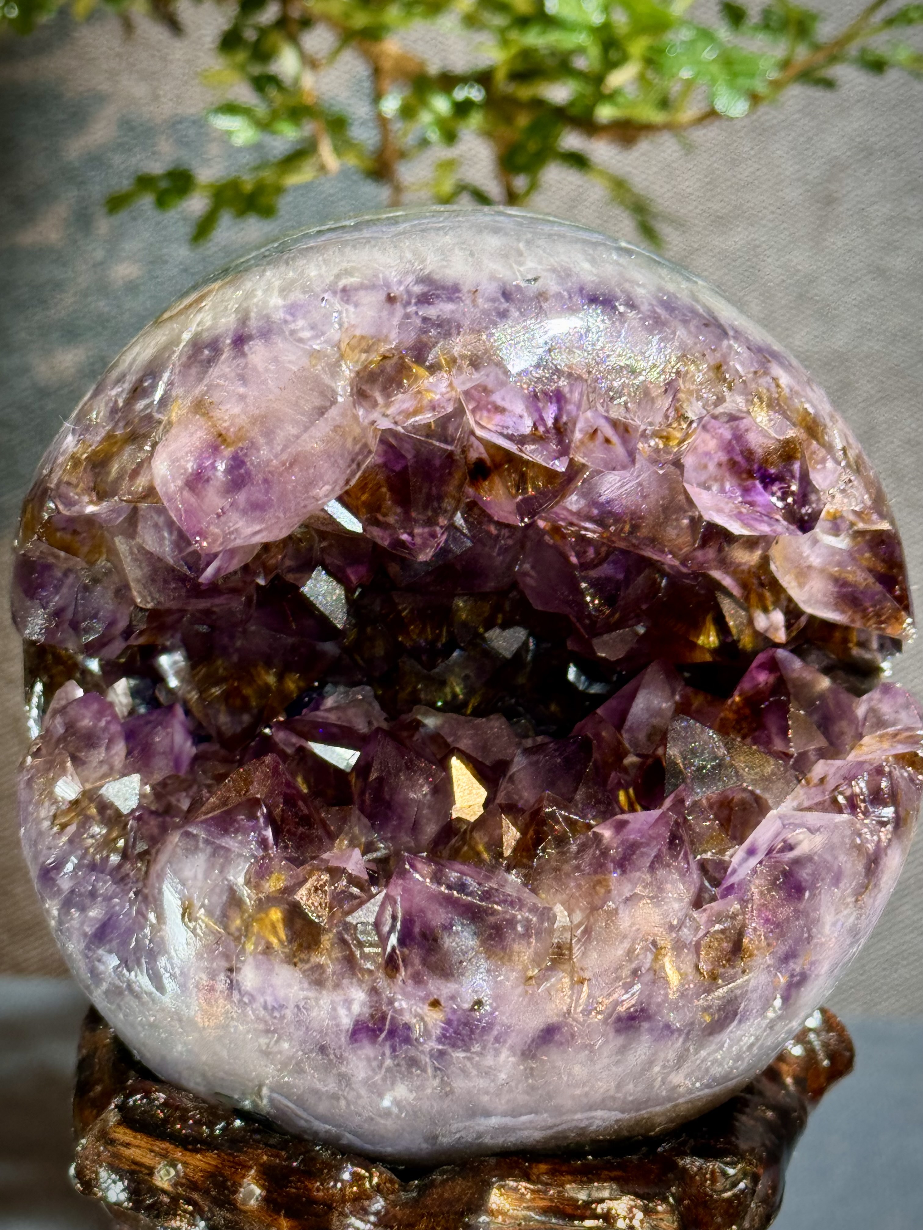 天花板紫鈦晶開口笑 8819