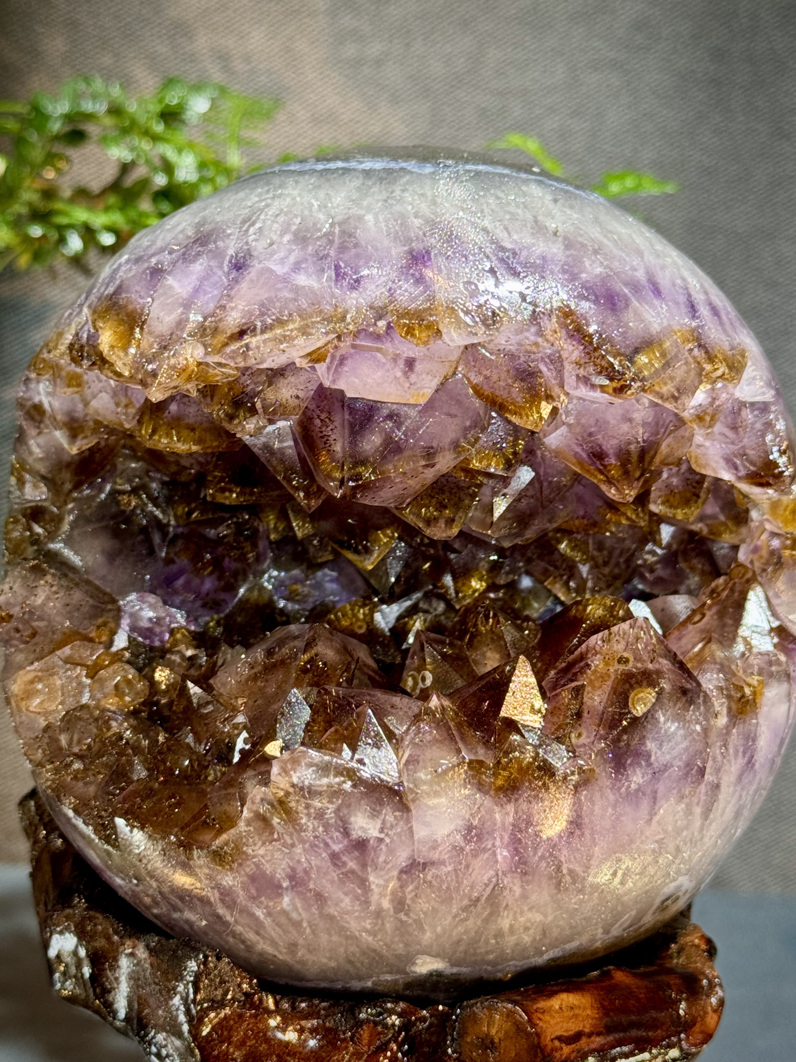 天花板紫鈦晶開口笑 8820