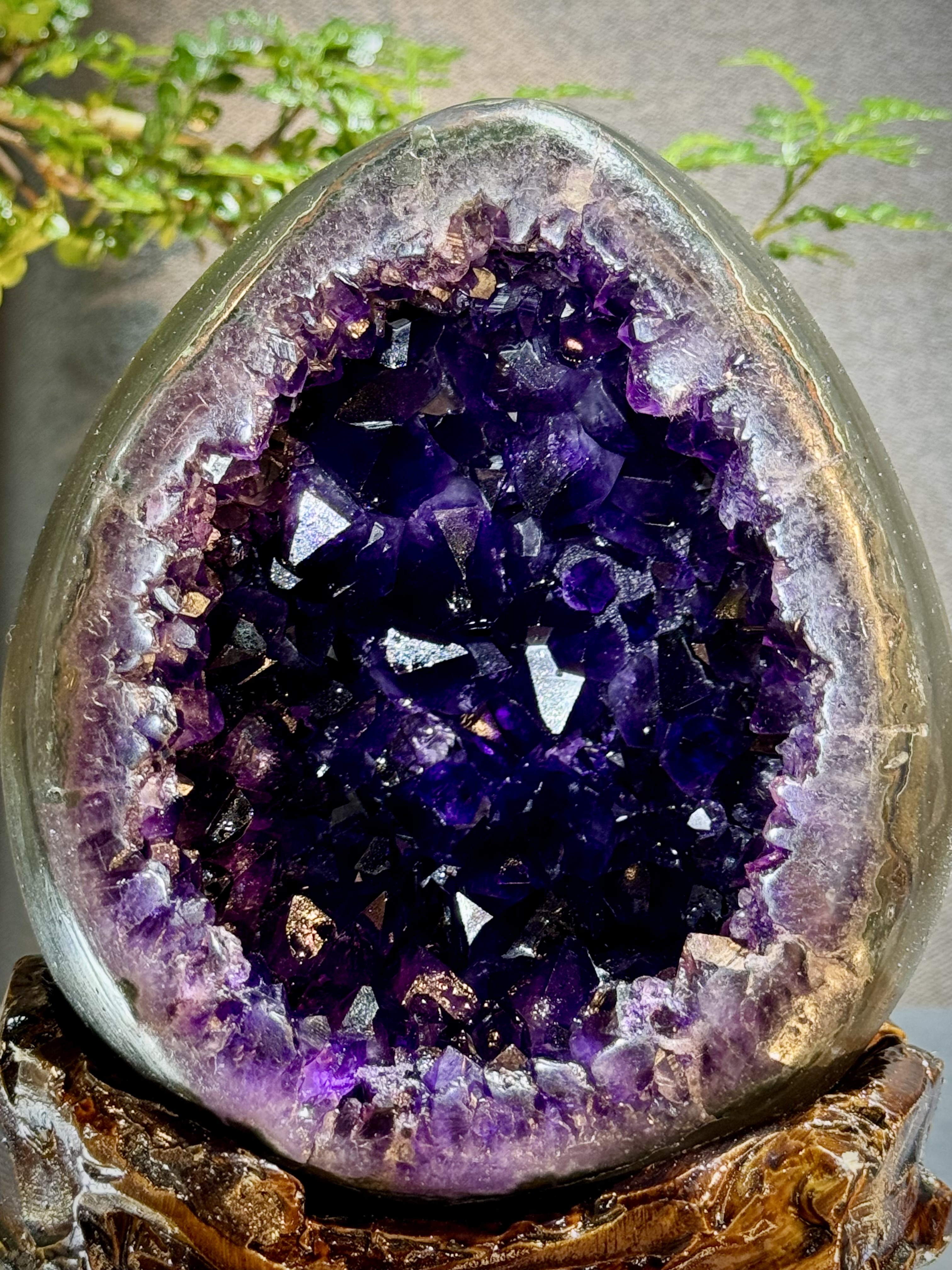 帝皇紫紫水晶恐龍蛋 7024