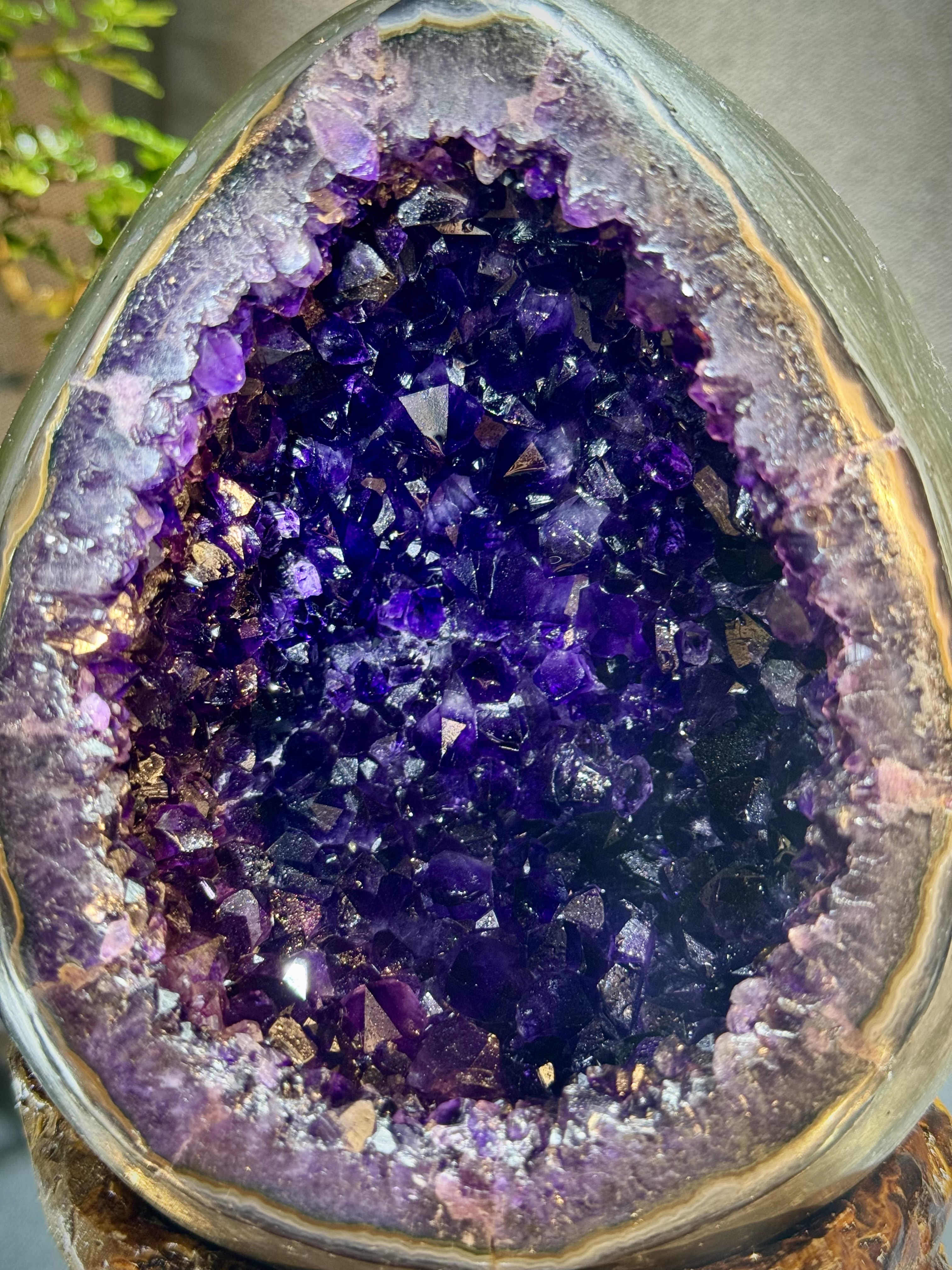 帝皇紫紫水晶恐龍蛋 7026