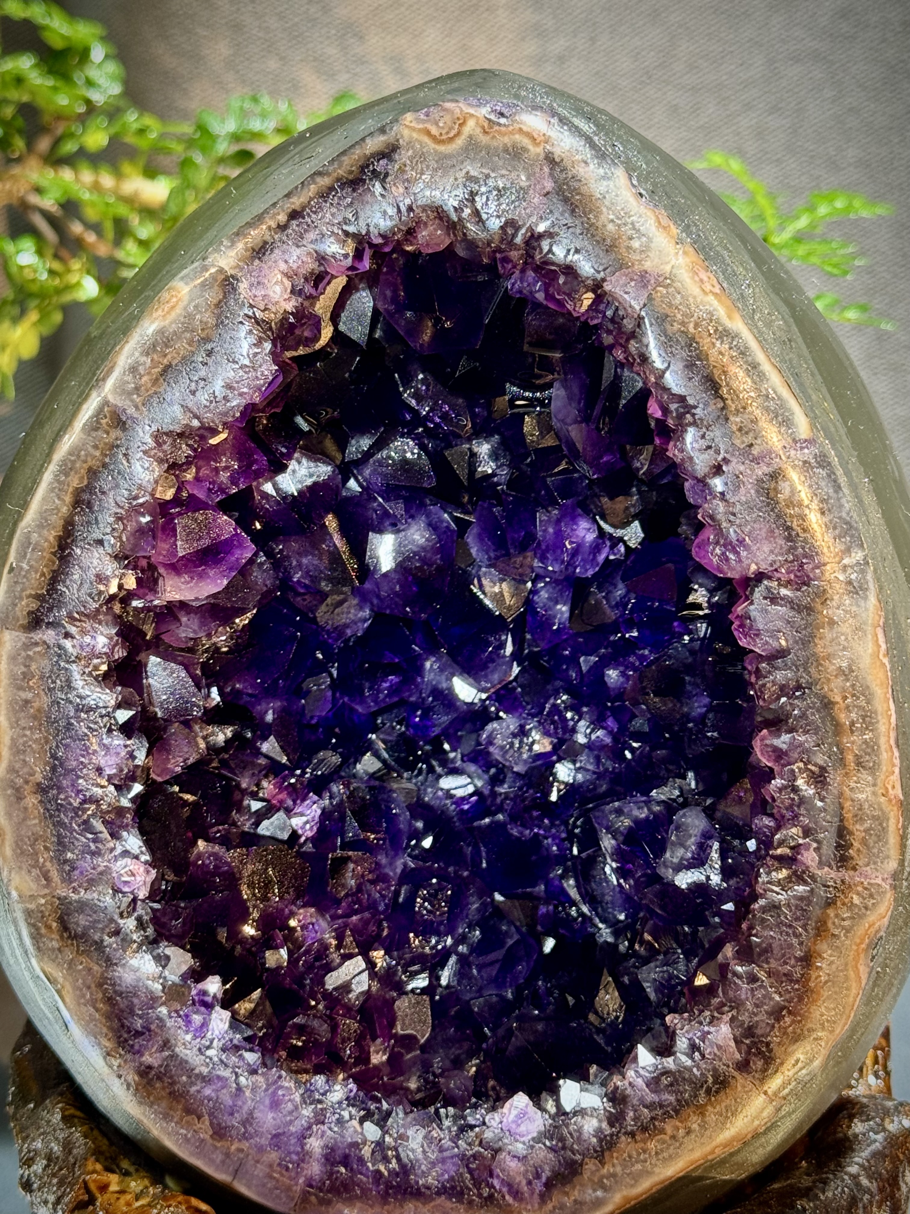 帝皇紫紫水晶恐龍蛋 7027