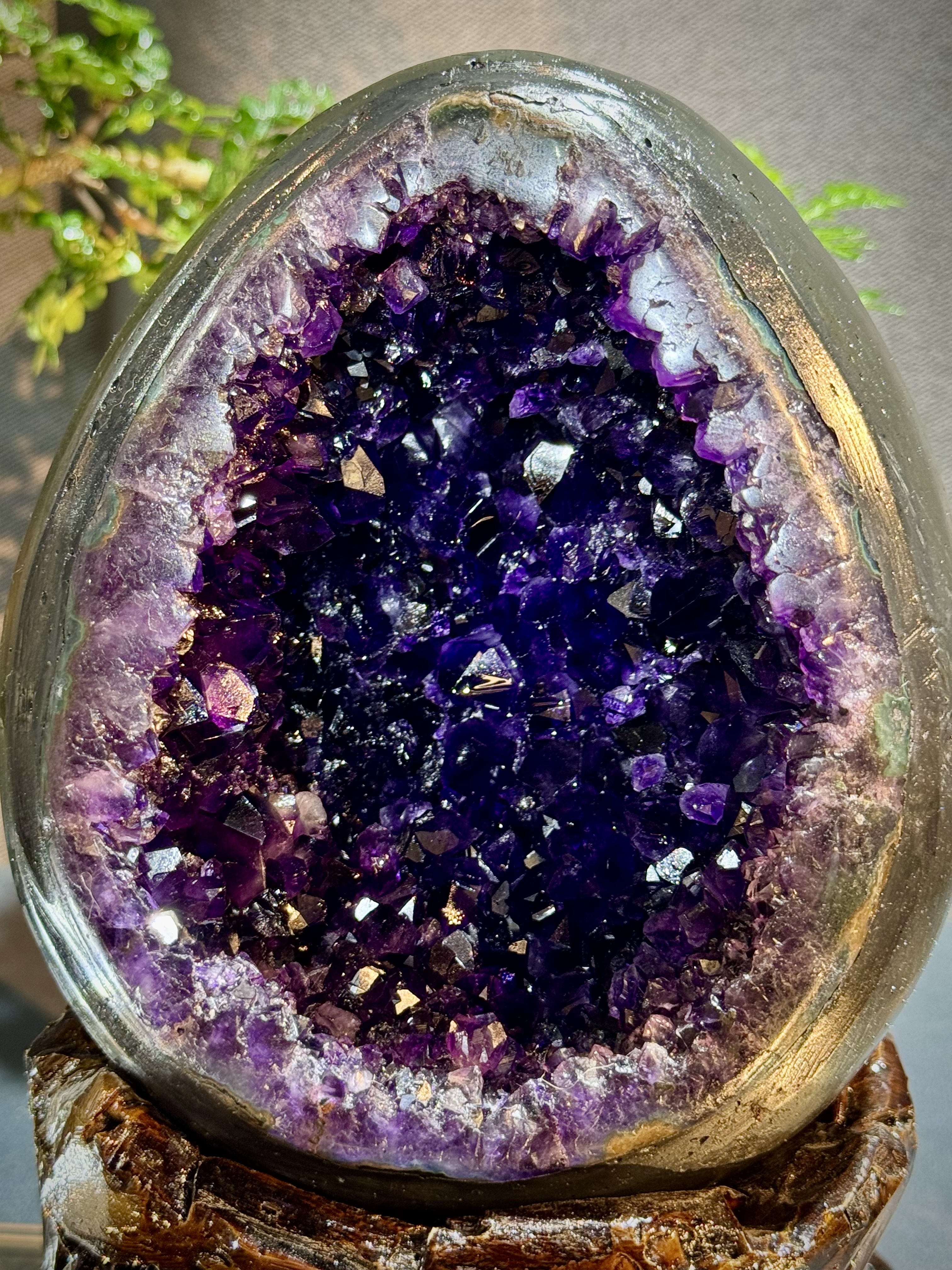 帝皇紫紫水晶恐龍蛋 7029