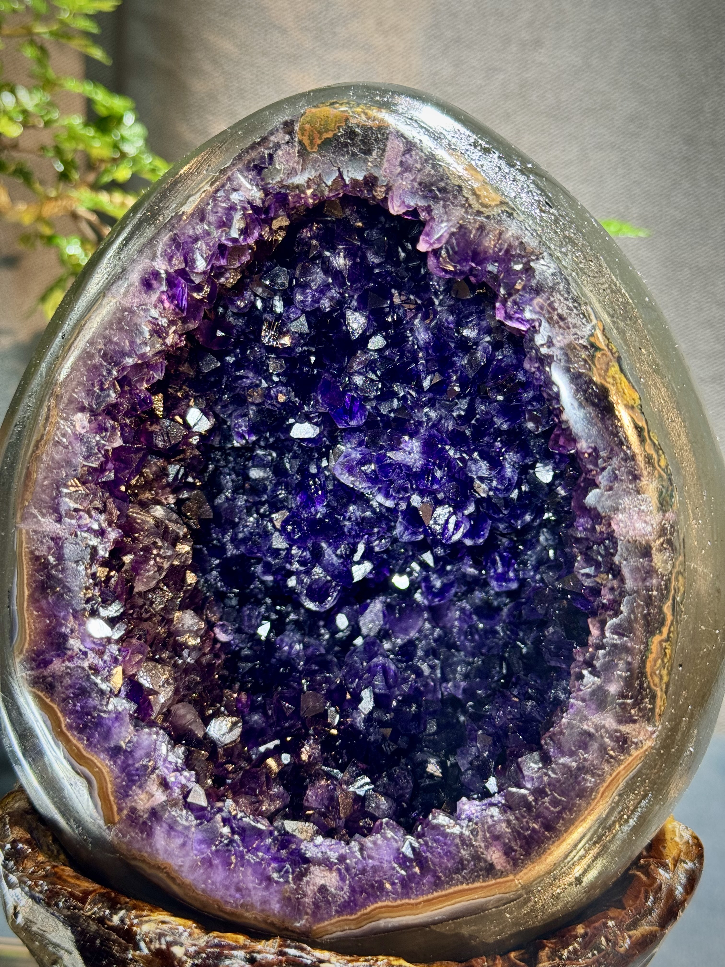 帝皇紫紫水晶恐龍蛋 7030