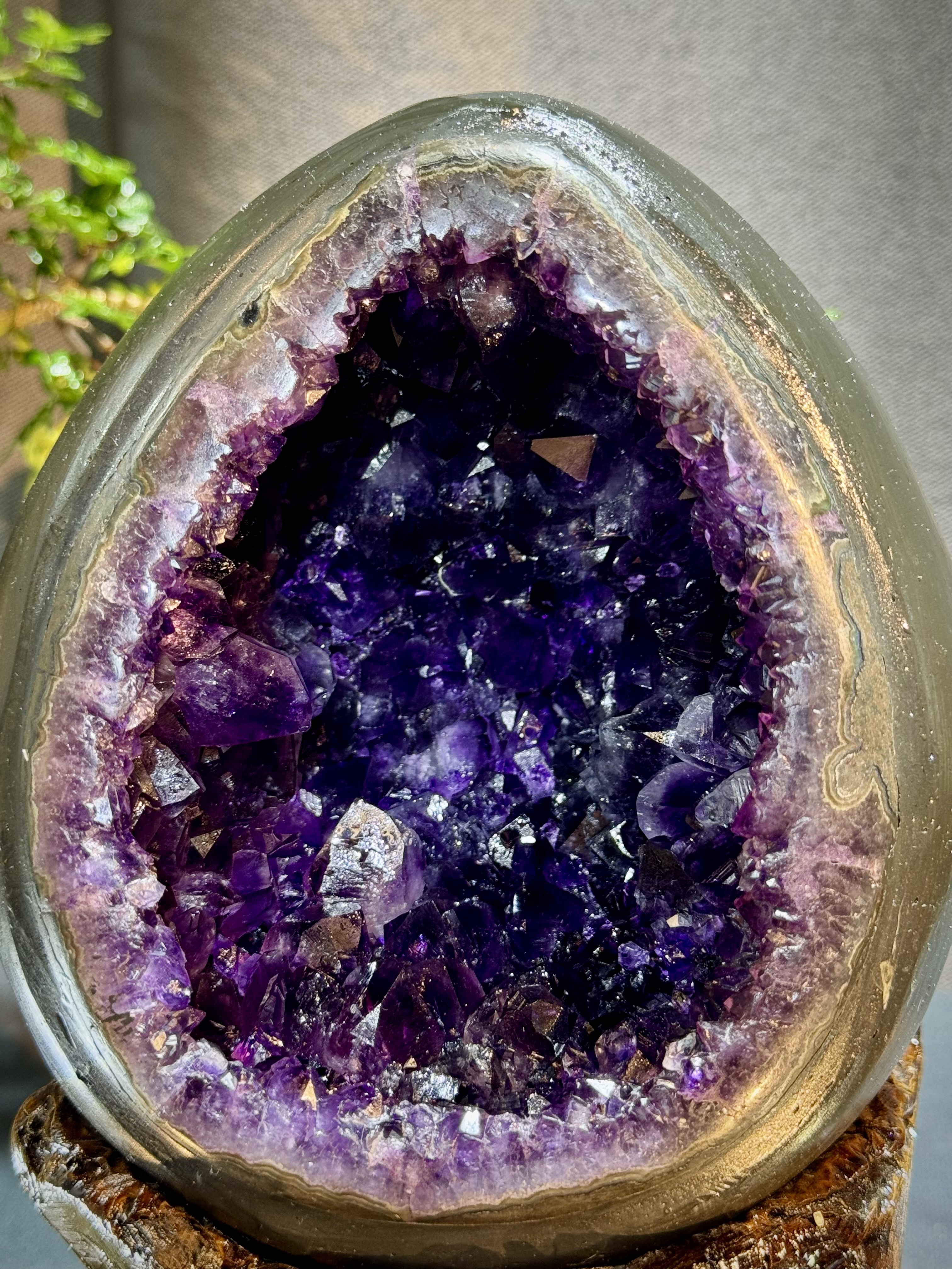 帝皇紫紫水晶恐龍蛋 7031