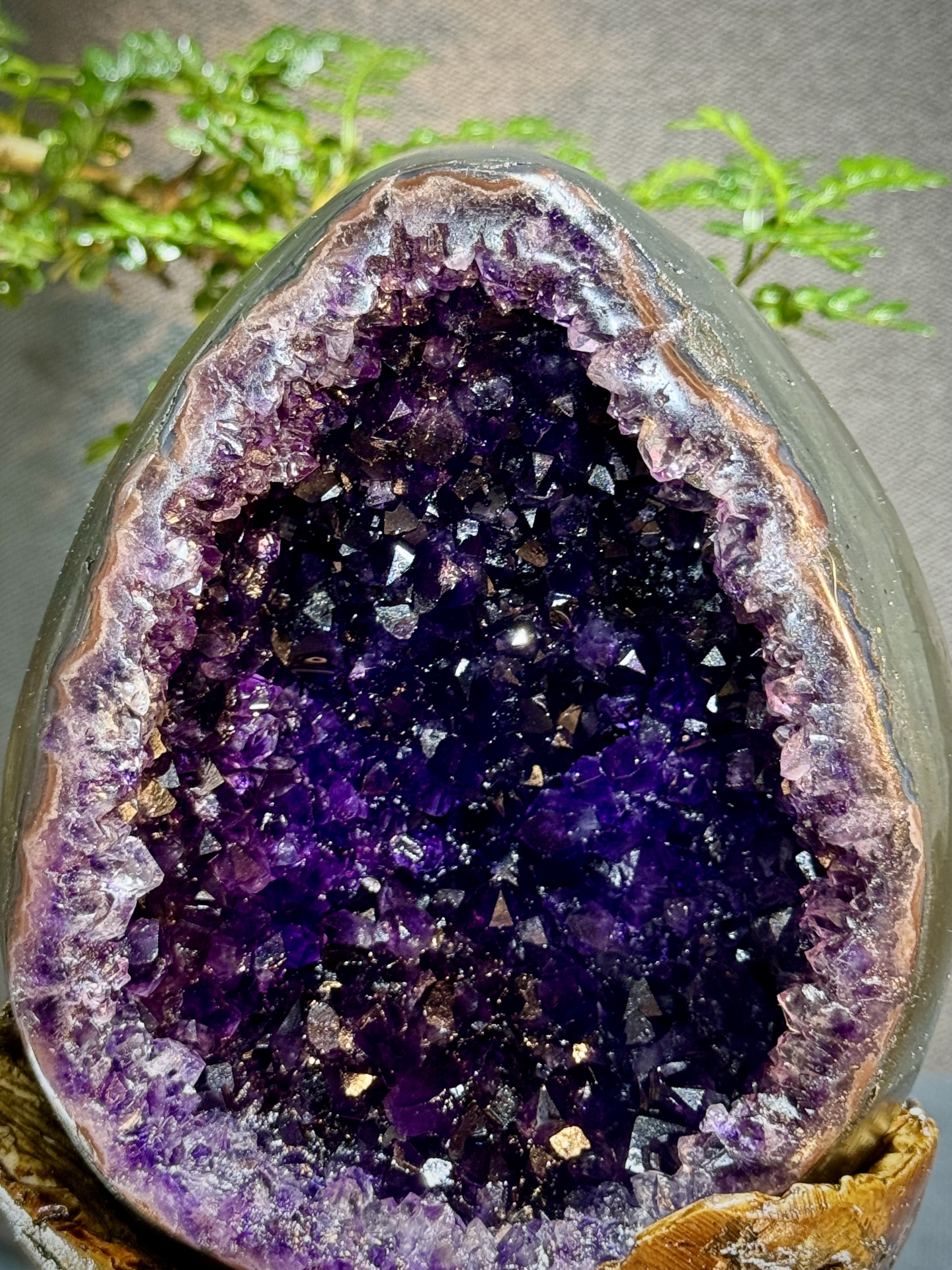 帝皇紫紫水晶恐龍蛋 7032