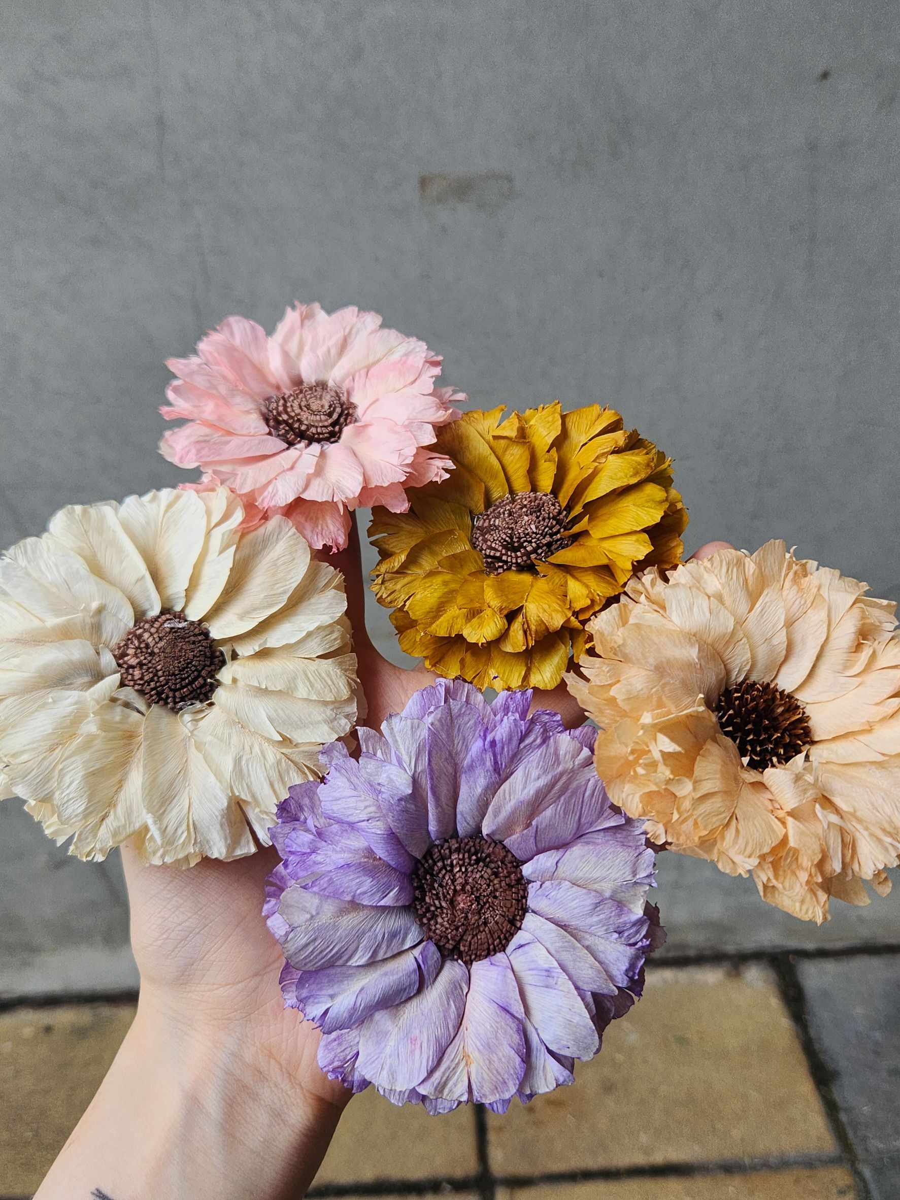 乾燥手工羽葉太陽