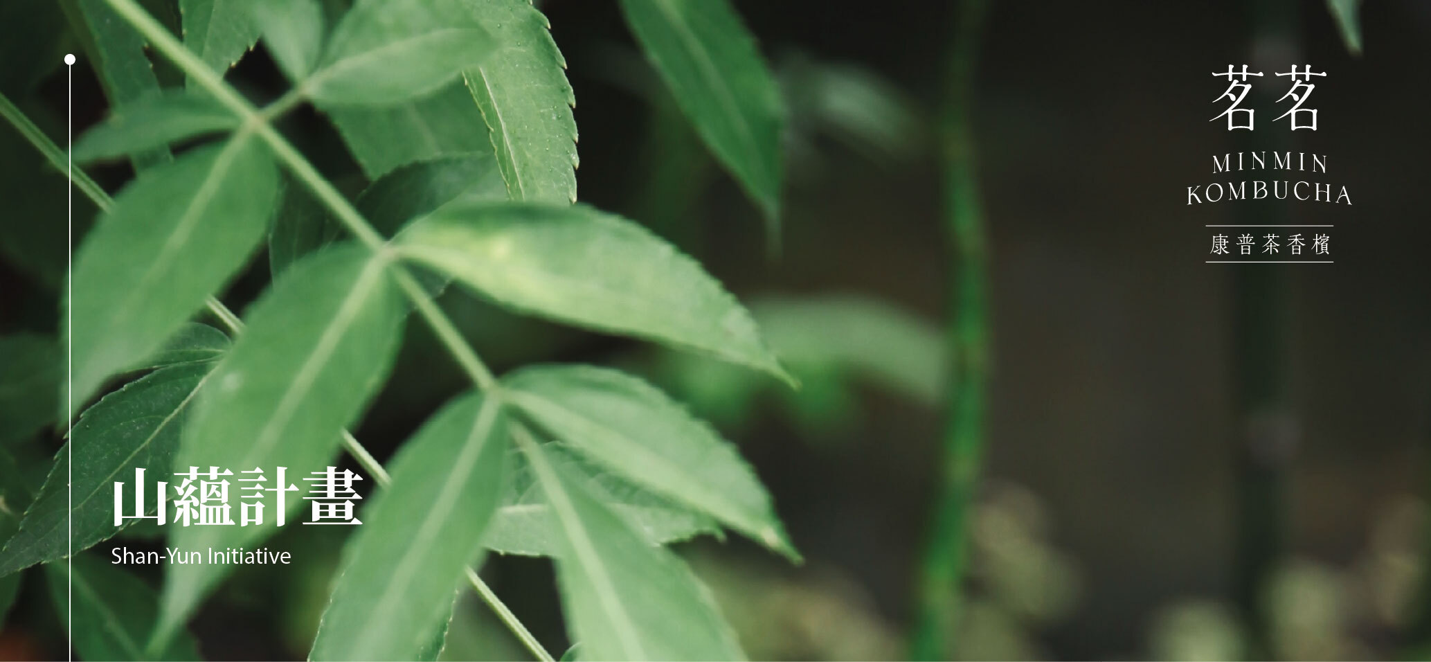 茗茗康普茶香檳山蘊計劃