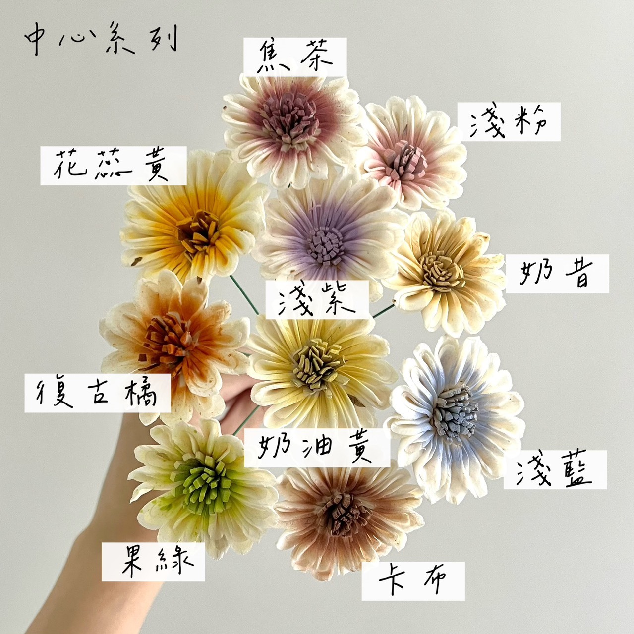 越南索拉花 非洲太陽花 4-5CM<十支一把>