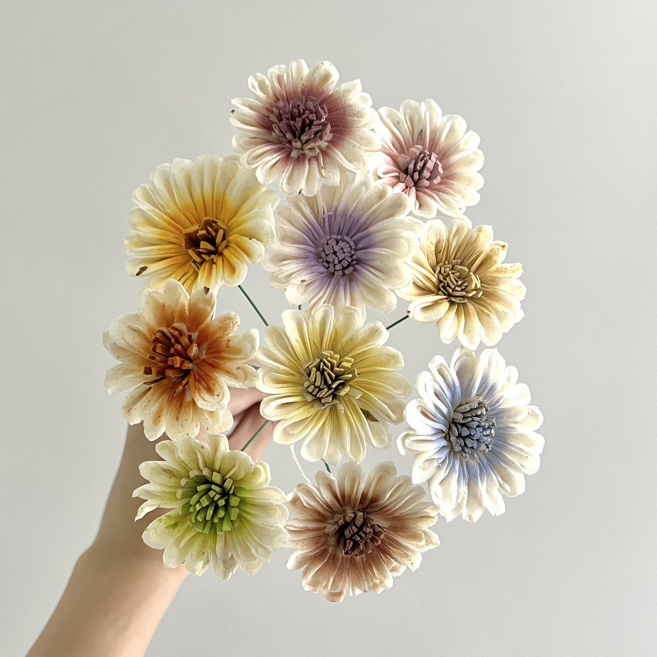 越南索拉花 非洲太陽花 4-5CM<十支一把>