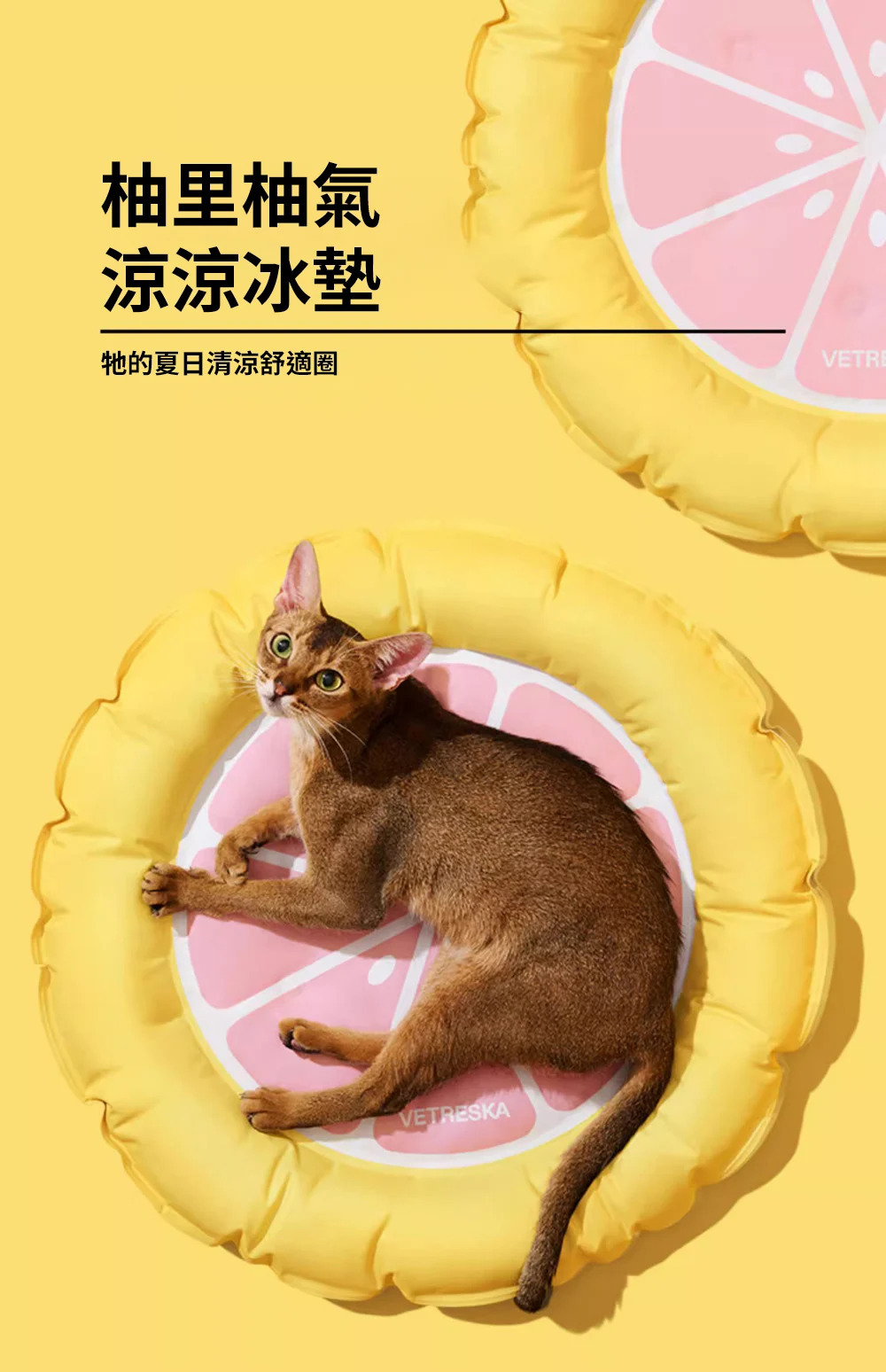 Vetreska 夏日水果降溫冰墊