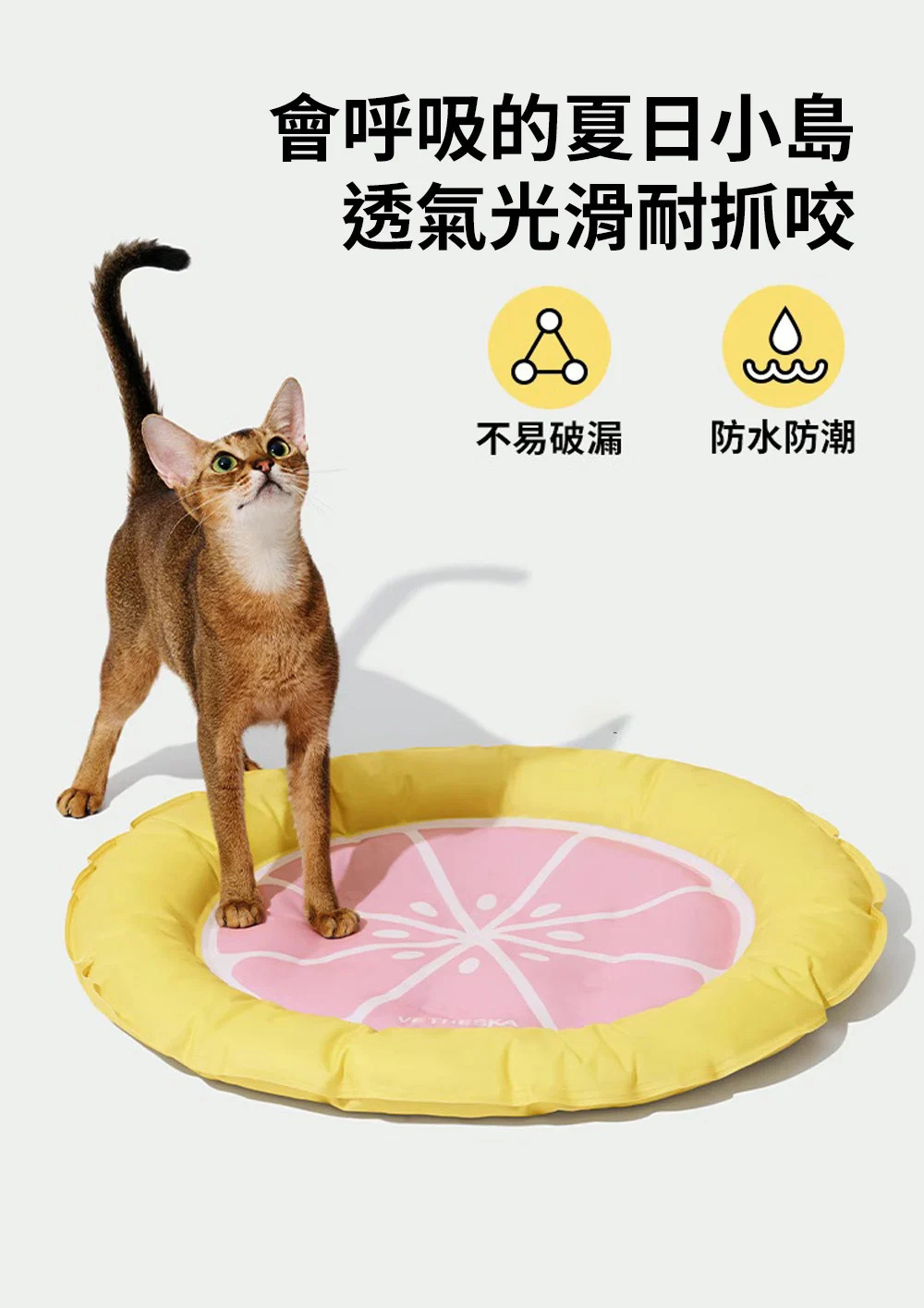 Vetreska 夏日水果降溫冰墊