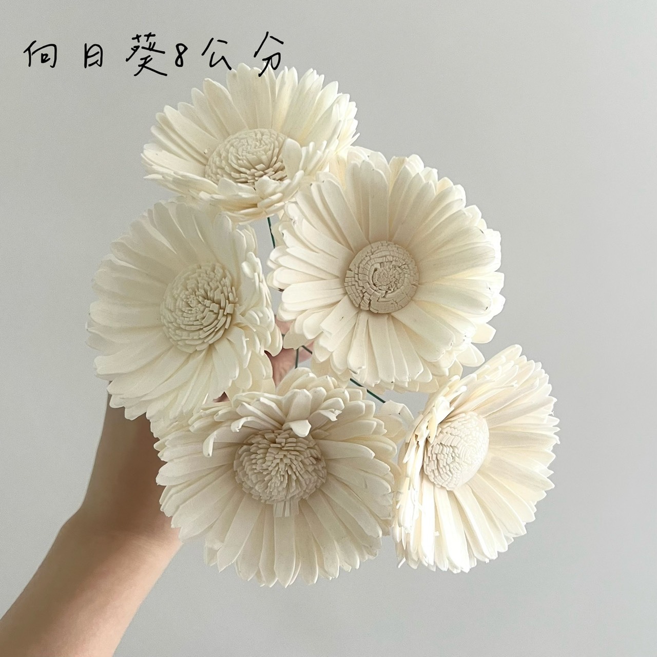 越南索拉花 向日葵 7-8CM <五支一把>