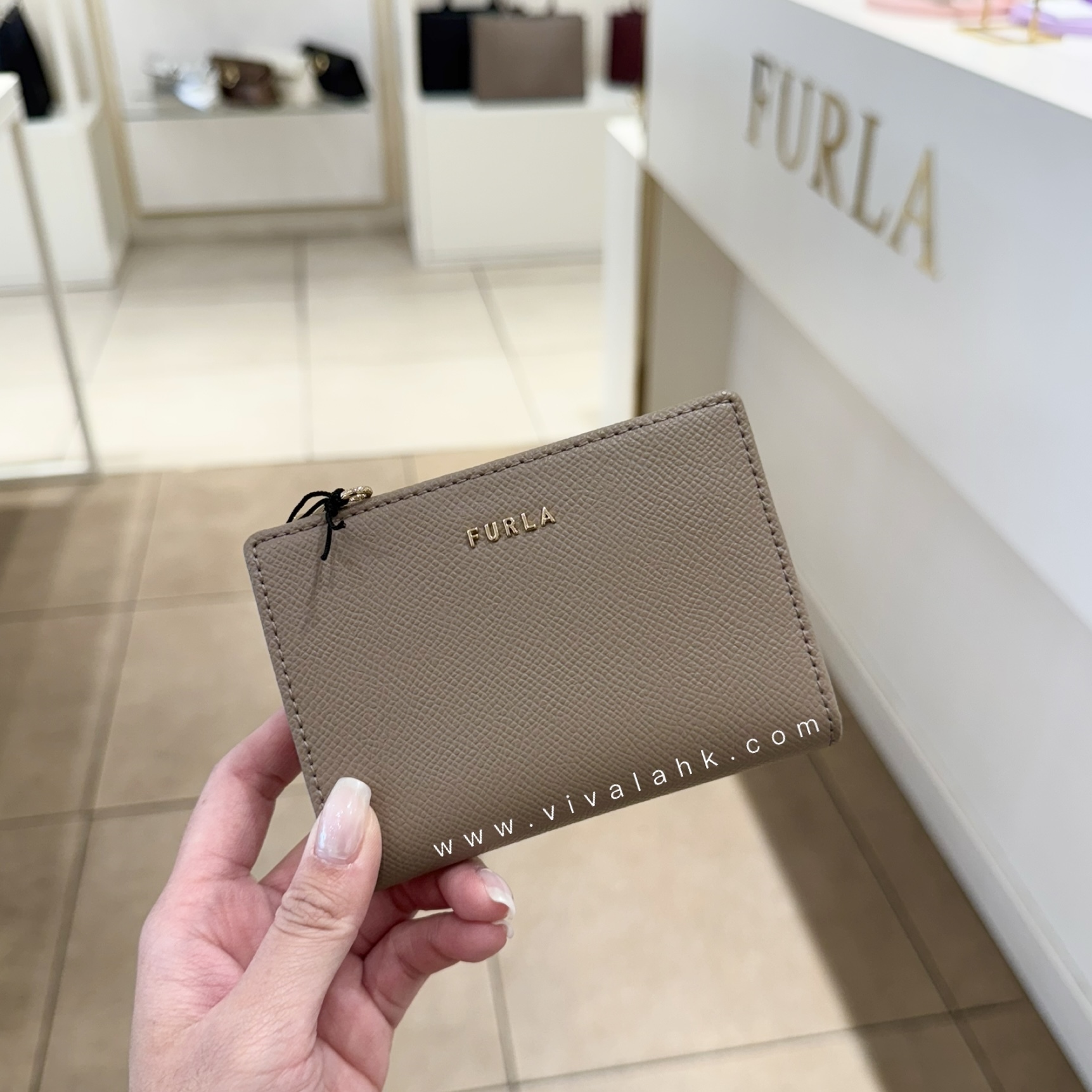 Furla - Classic Small Bifold Wallet (PCK5CL0 BX0306)
