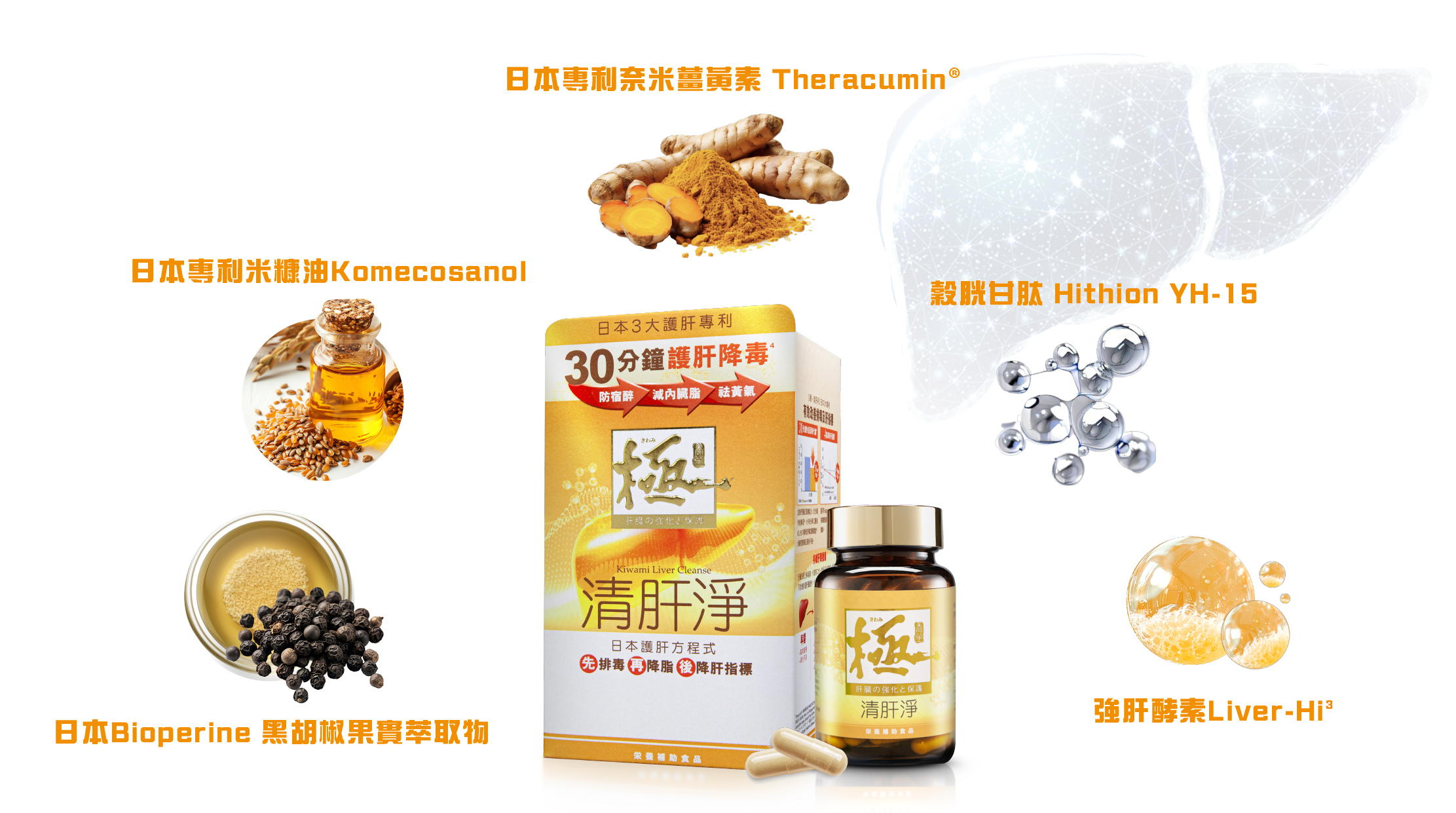 薑黃素有效護肝抗炎  到底如何清走肝毒，以免肝功能進一步惡化？薑黃素是最多科學研究證明有效護肝抗炎的成分之一，對於涉及薑黃素的研究，每年發表就有2000項之多，其優越的護肝功效被充分肯定。    「極·清肝淨」中含有專利日本奈米薑黃素 Theracumin®，其經納米化處理，分子比一般薑黃素更細小，生物利用度和穿透能力大大提升，吸收率比一般薑黃素提高44倍。經研究證實，30分鐘就可以解肝臟毒素2，1小時有效分解乙醛等毒物達63.9%5，4星期顯著降低肝酵素4，修復肝臟細胞，護肝效果更優越。    除日本專利奈米薑黃素Theracumin®外，「極·清肝淨」5重護肝3大日本專利3成分更含日本專利米糠油Komecosanol、日本專利黑胡椒萃取物Bioperine、穀胱甘肽 Hithion YH-15及日本強肝酵素Liver-Hi等多種成分，有效提升肝臟代謝降內臟脂，補充卵磷脂，加快受損肝細胞的修復和再生。